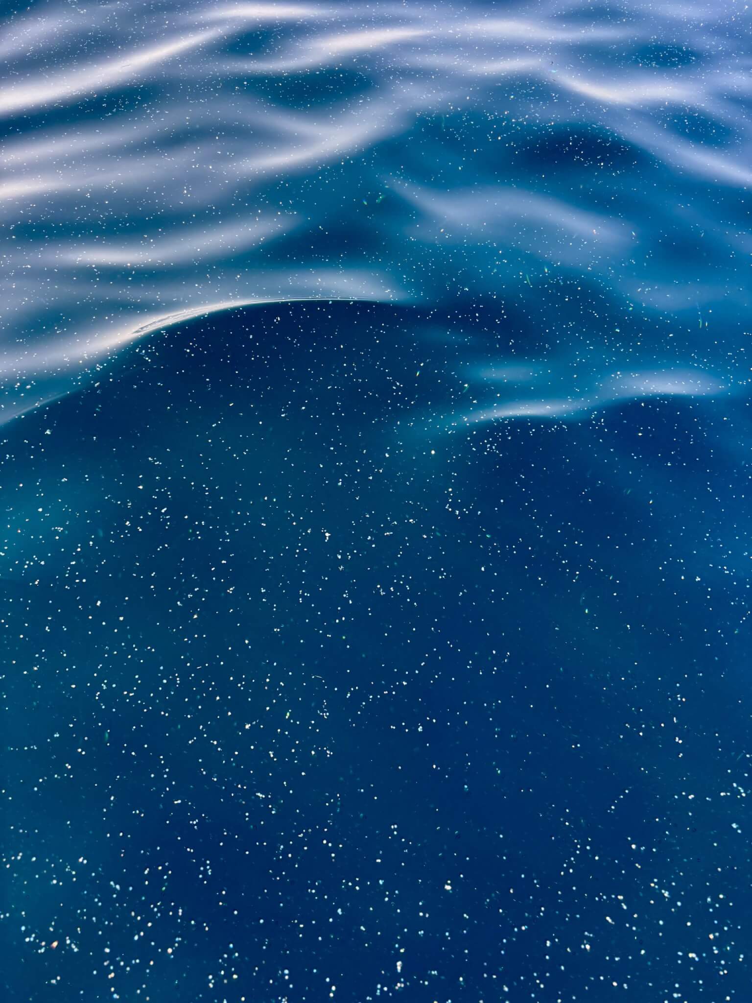 Close-up of the sea surface off the Cornish coast