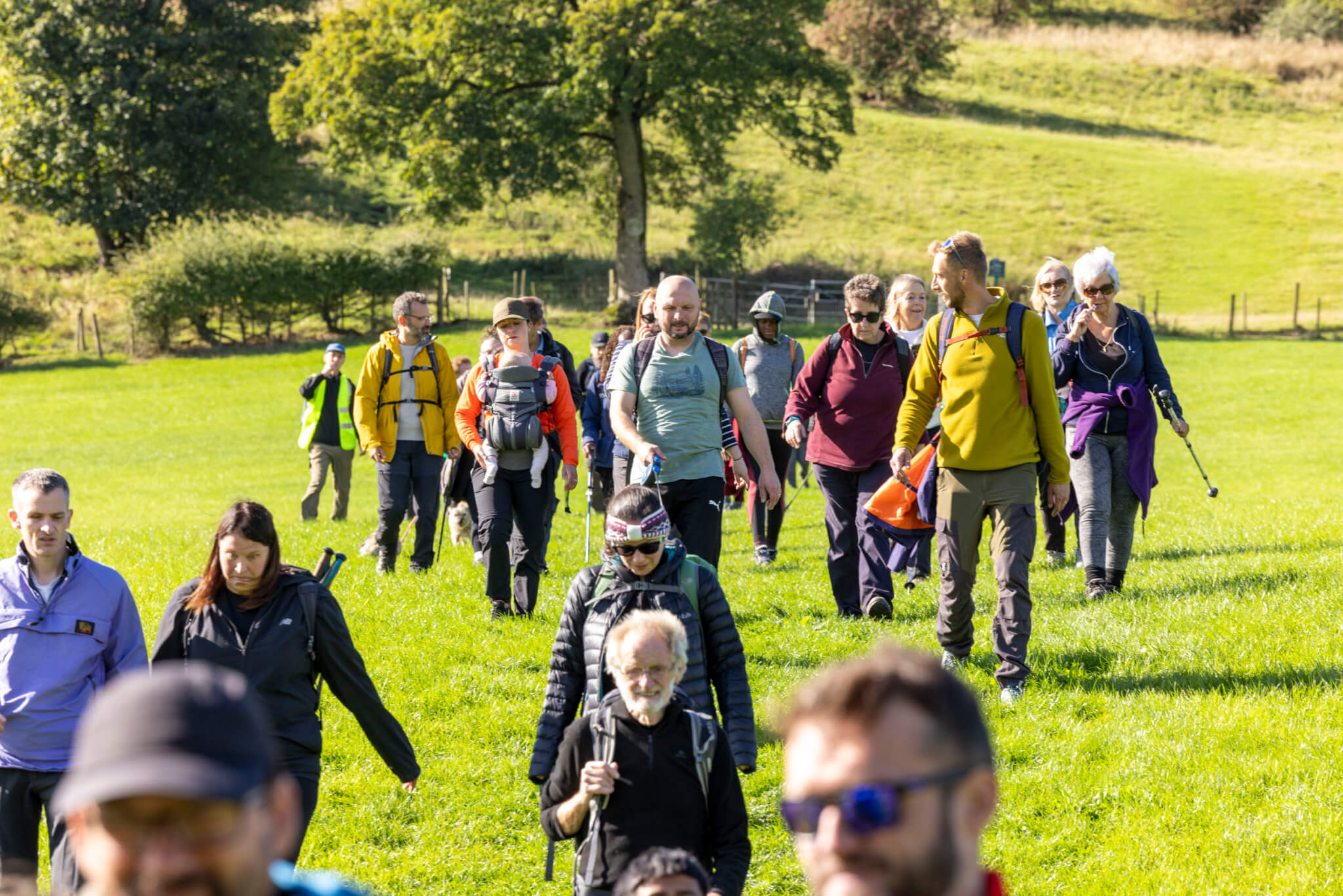 A family group and dog on a YHA Festival of Walking route
