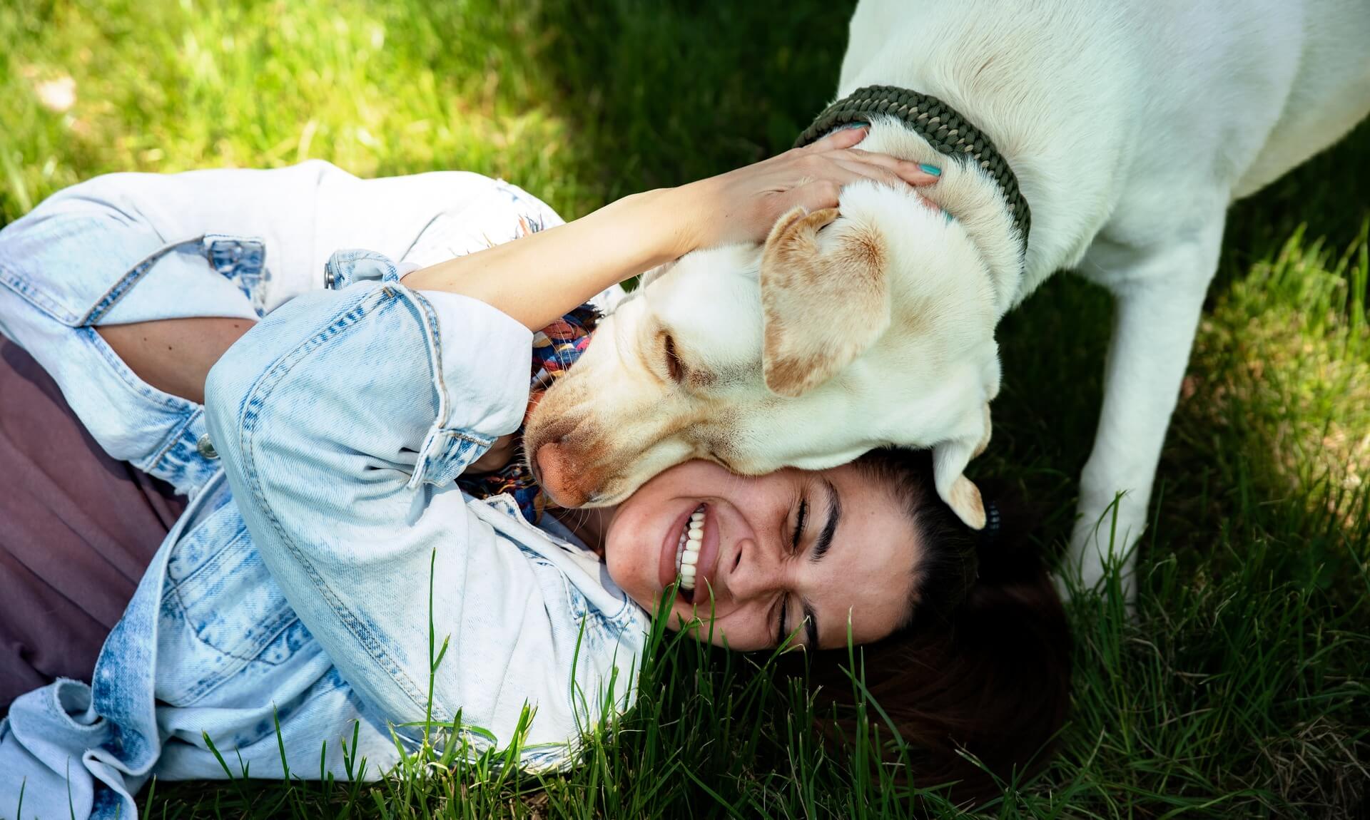 A woman laughing in the grass as her yellow Labrador rescue dog nuzzles her head