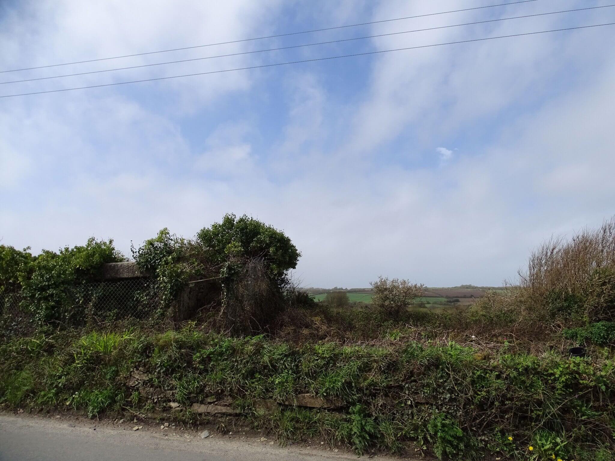 Overgrown barn and land in Reawla Lane, Reawla