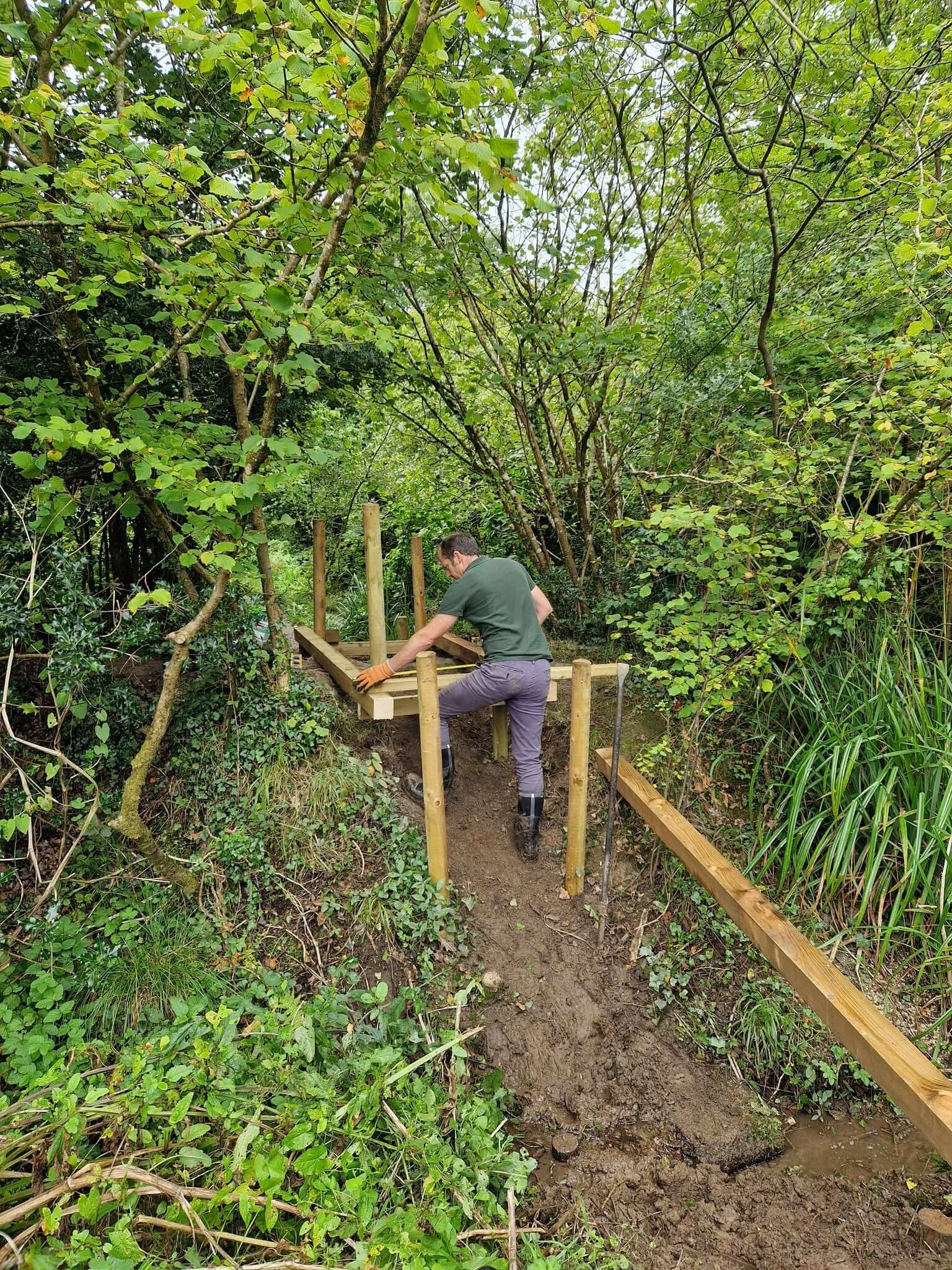 The new frame going in at Daubuz Moor