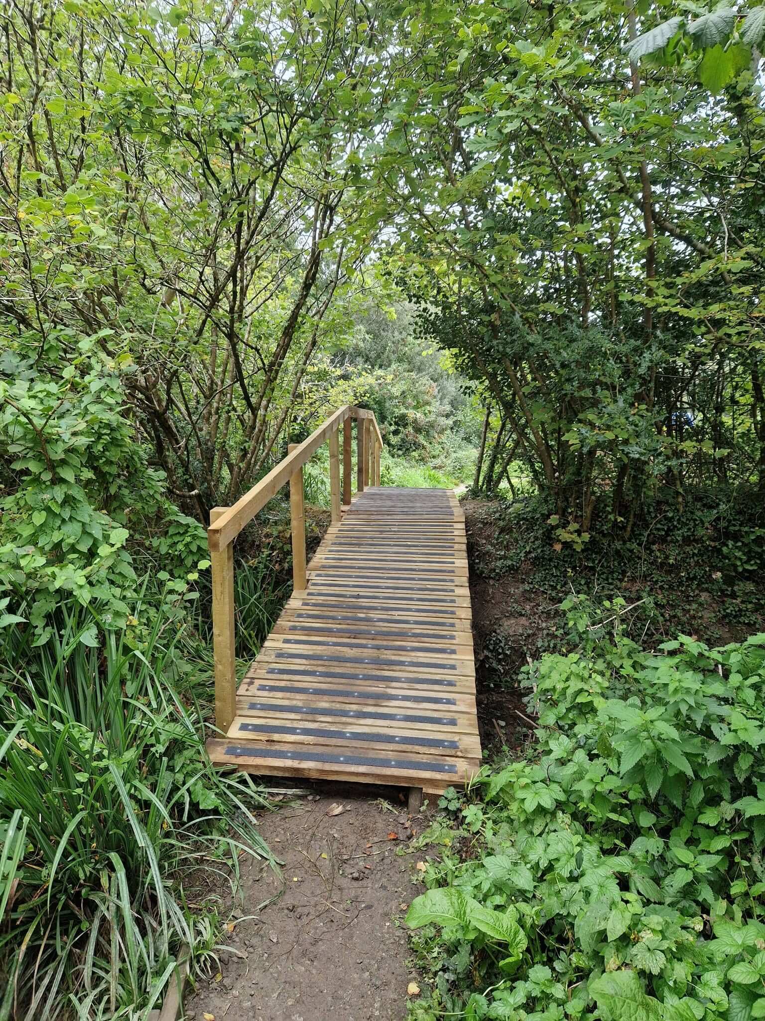 The finished boardwalk and handrail