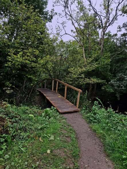 The path leading to the boardwalk