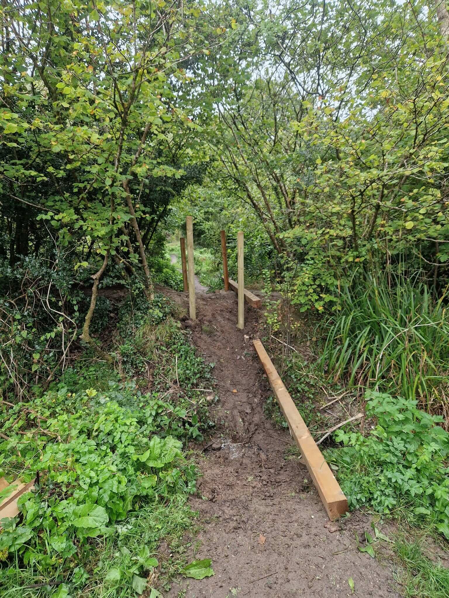 Posts in place for the new boardwalk