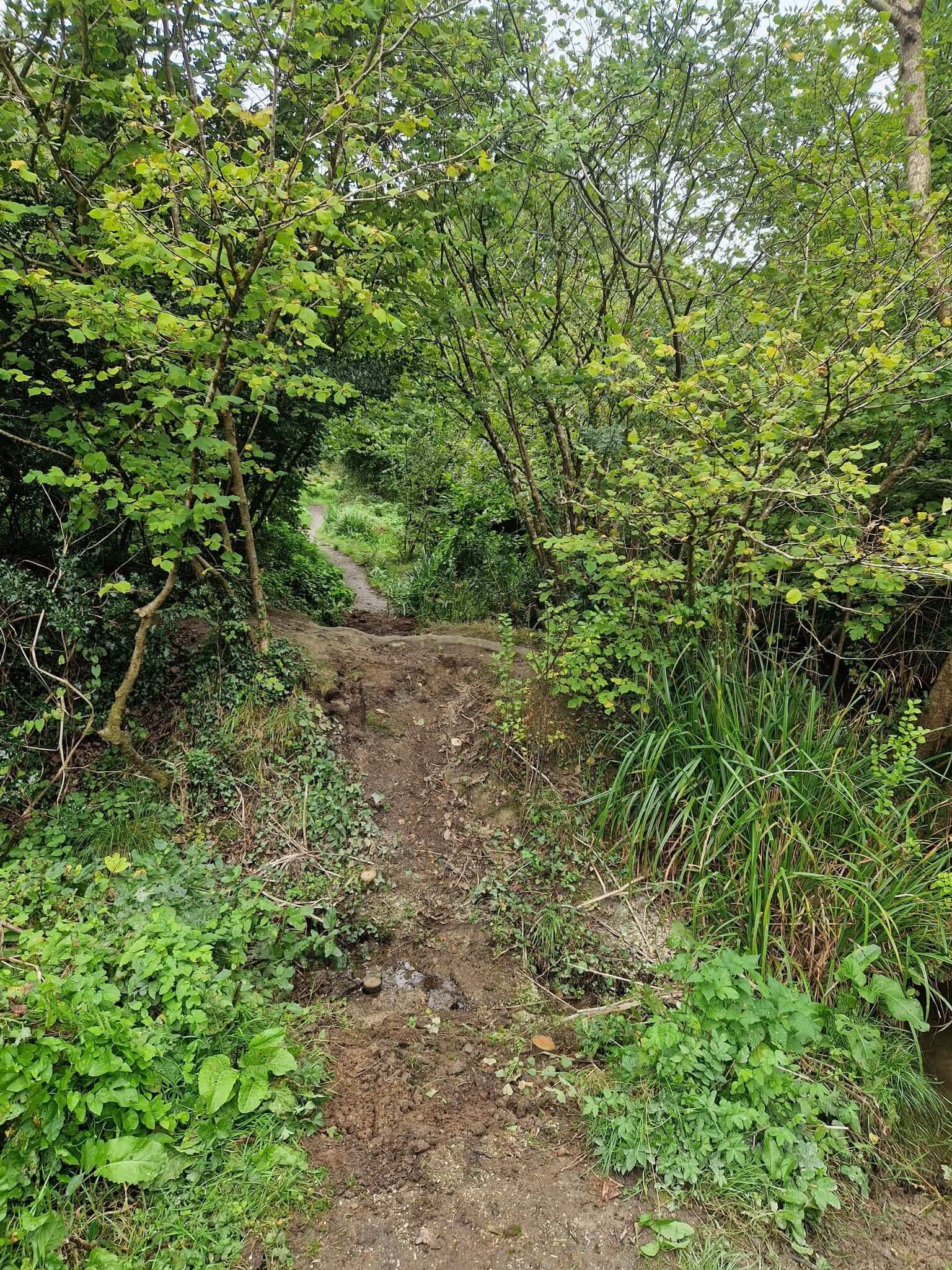 The site cleared ahead of the new boardwalk