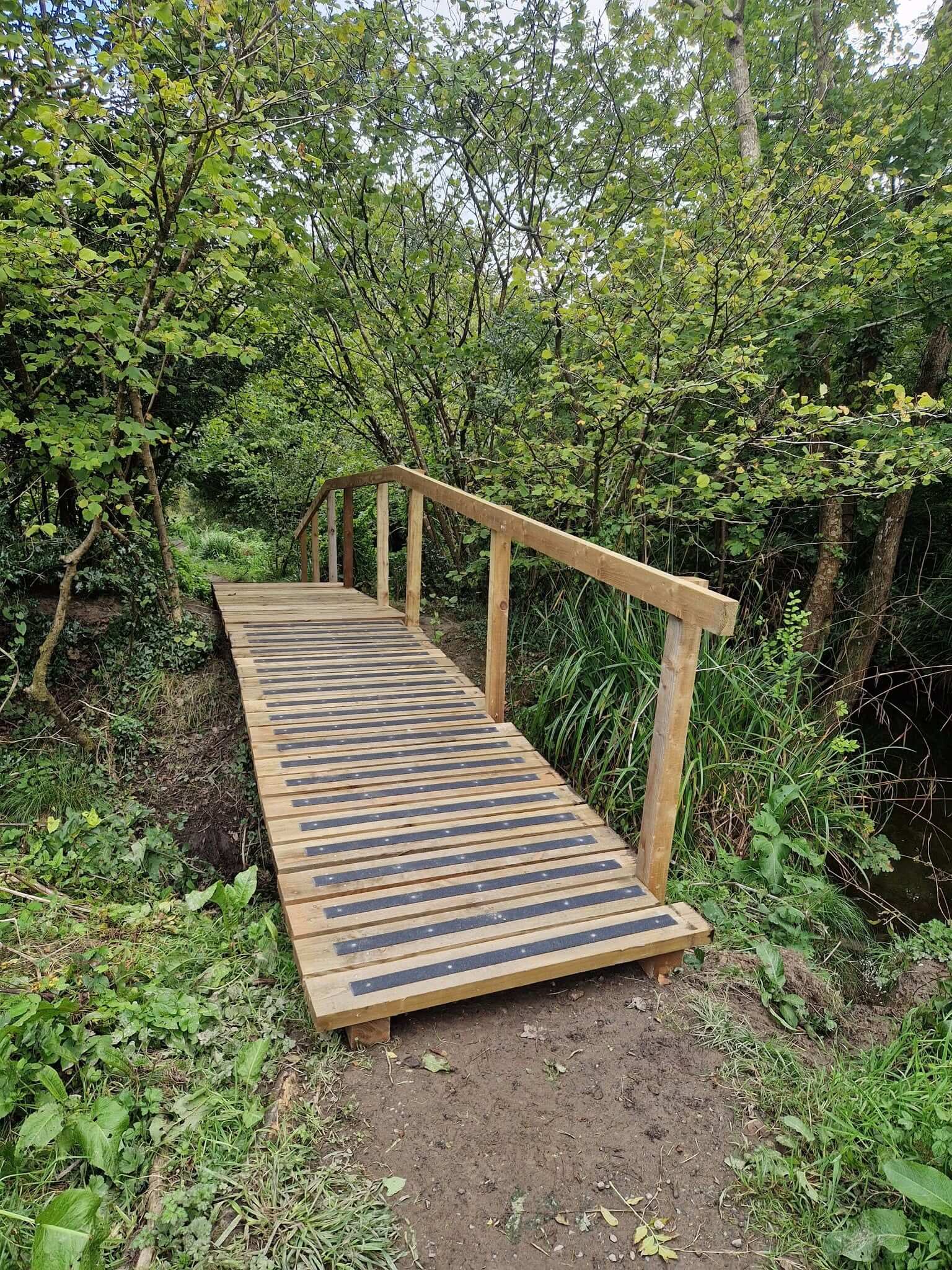The new boardwalk at Daubuz Moor, Truro