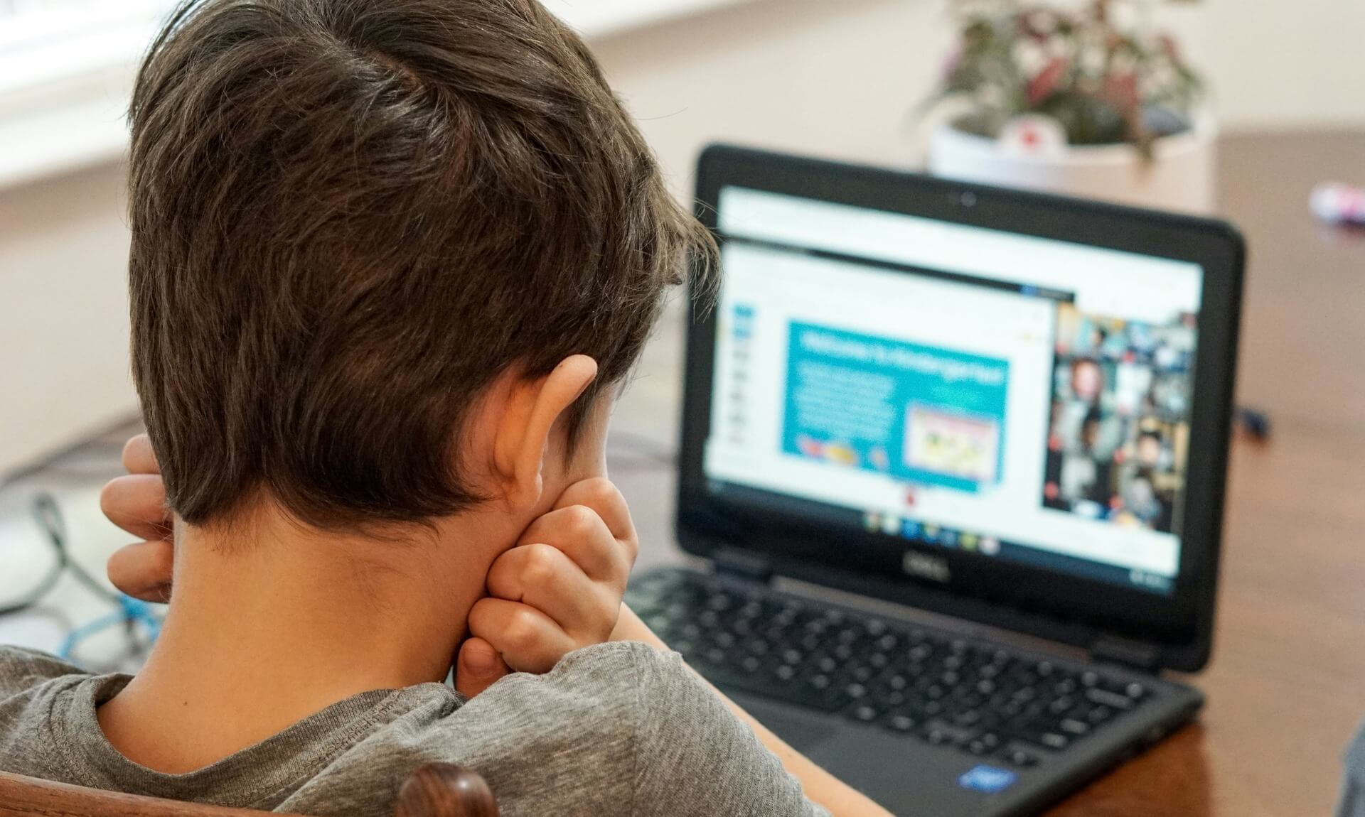 Child looking at a laptop screen from behind