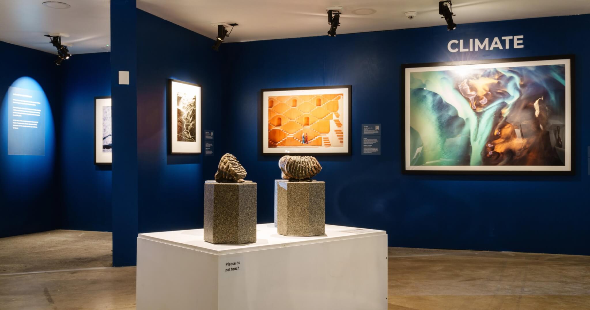 The Climate zone of Extinction: Renewal at Eden Project, with photography and sculpture on display