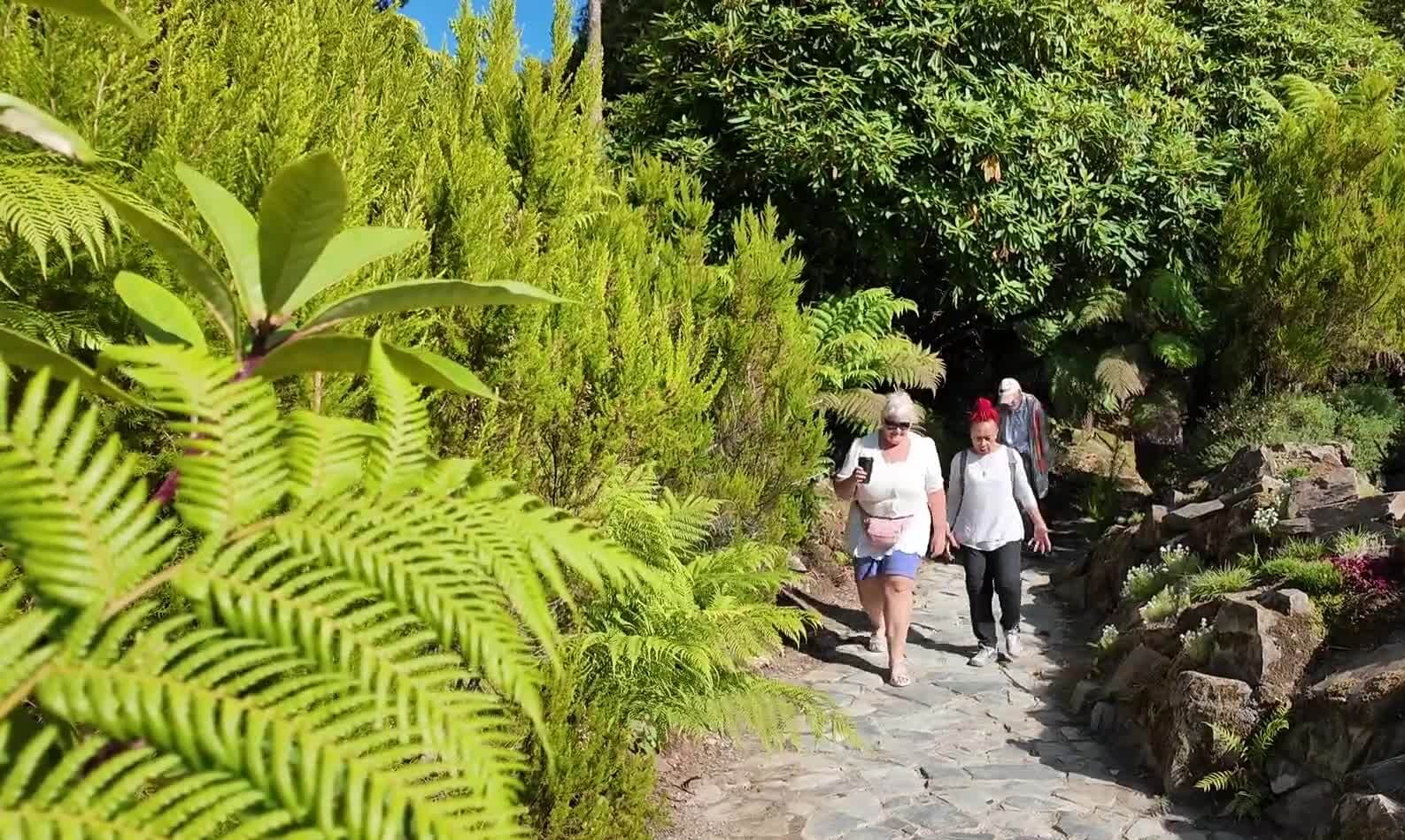 Walkers on the Heligan Wellbeing Walk passing through the Jungle path