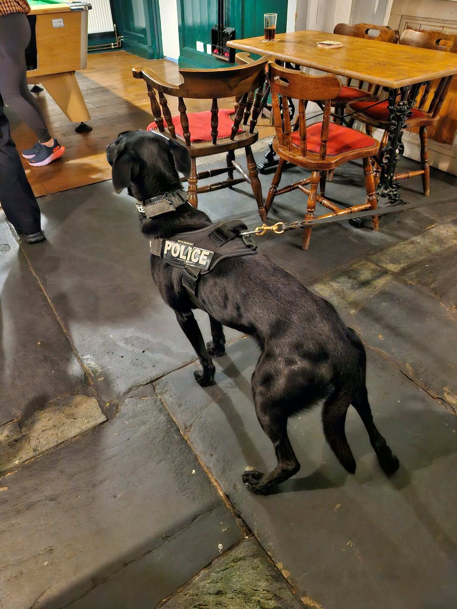 Jasper the police dog wearing a POLICE harness inside a pub