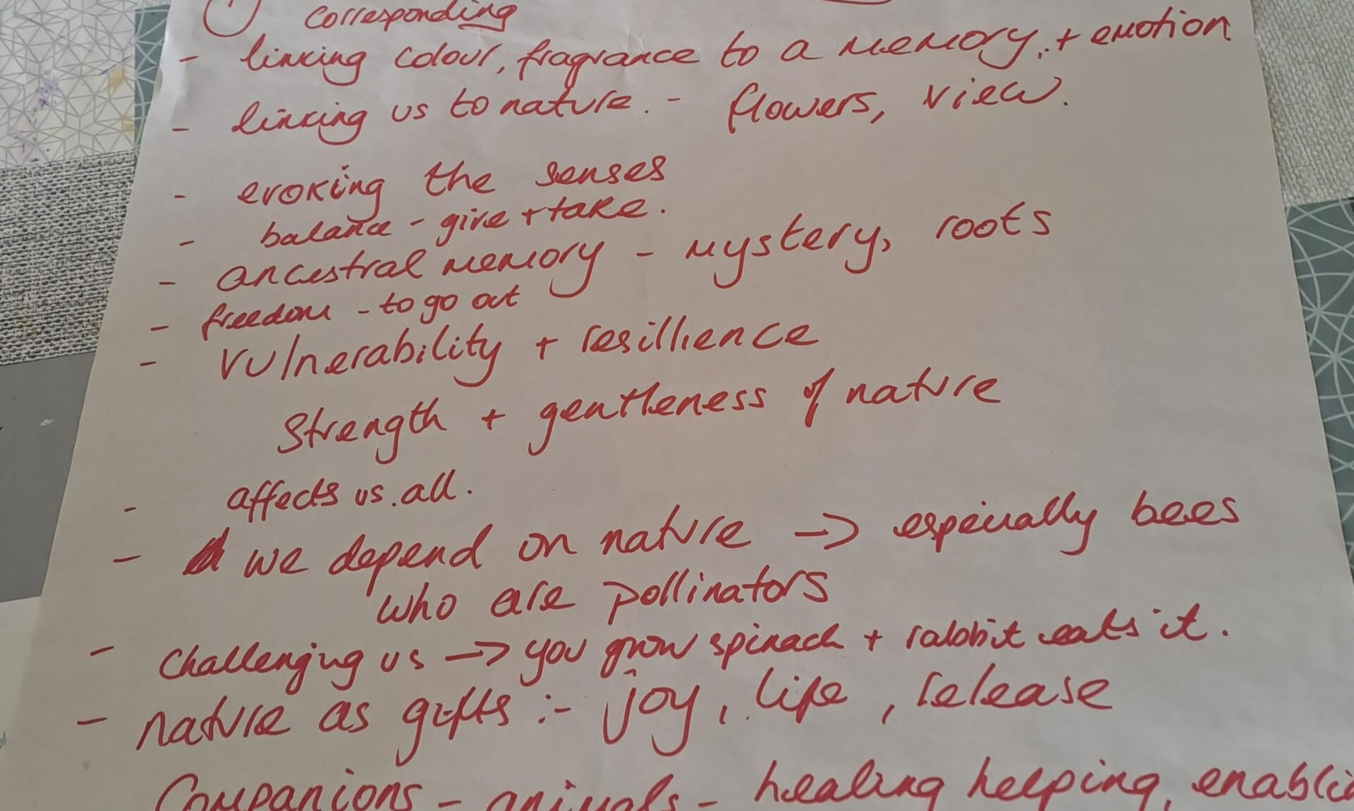 Handwritten notes for The Story of the Rabbit and the Spinach poem