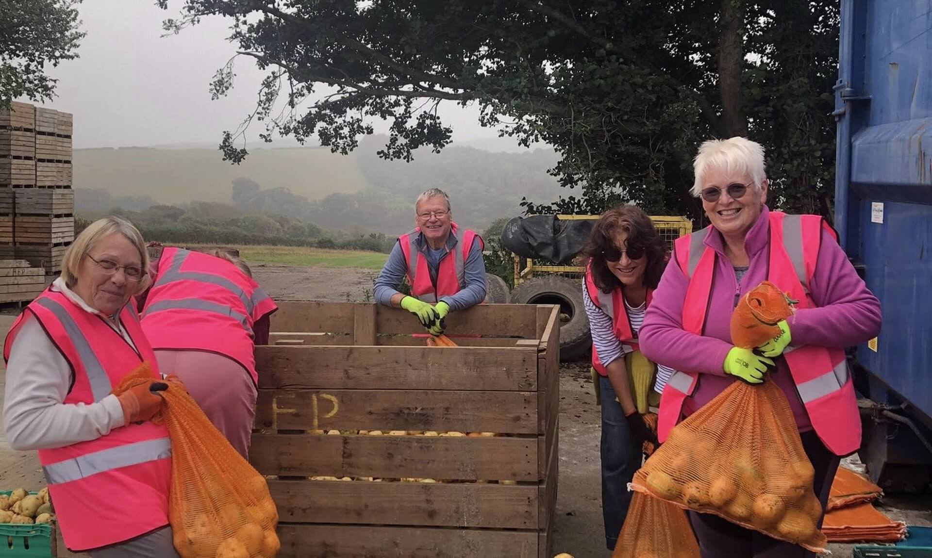 Gleaning Cornwall volunteers bagging gleaned potatoes