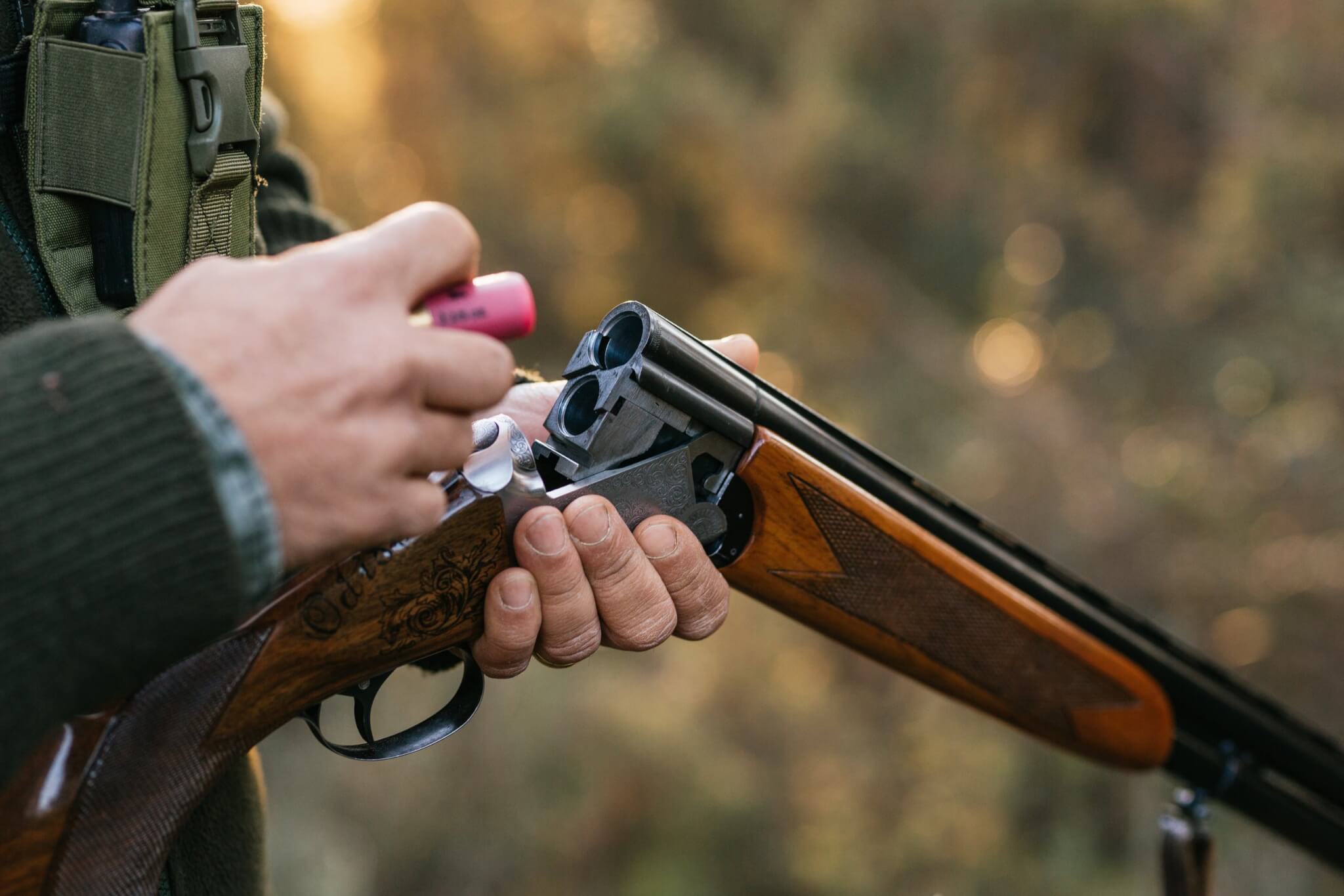 Person loading a cartridge into a shotgun