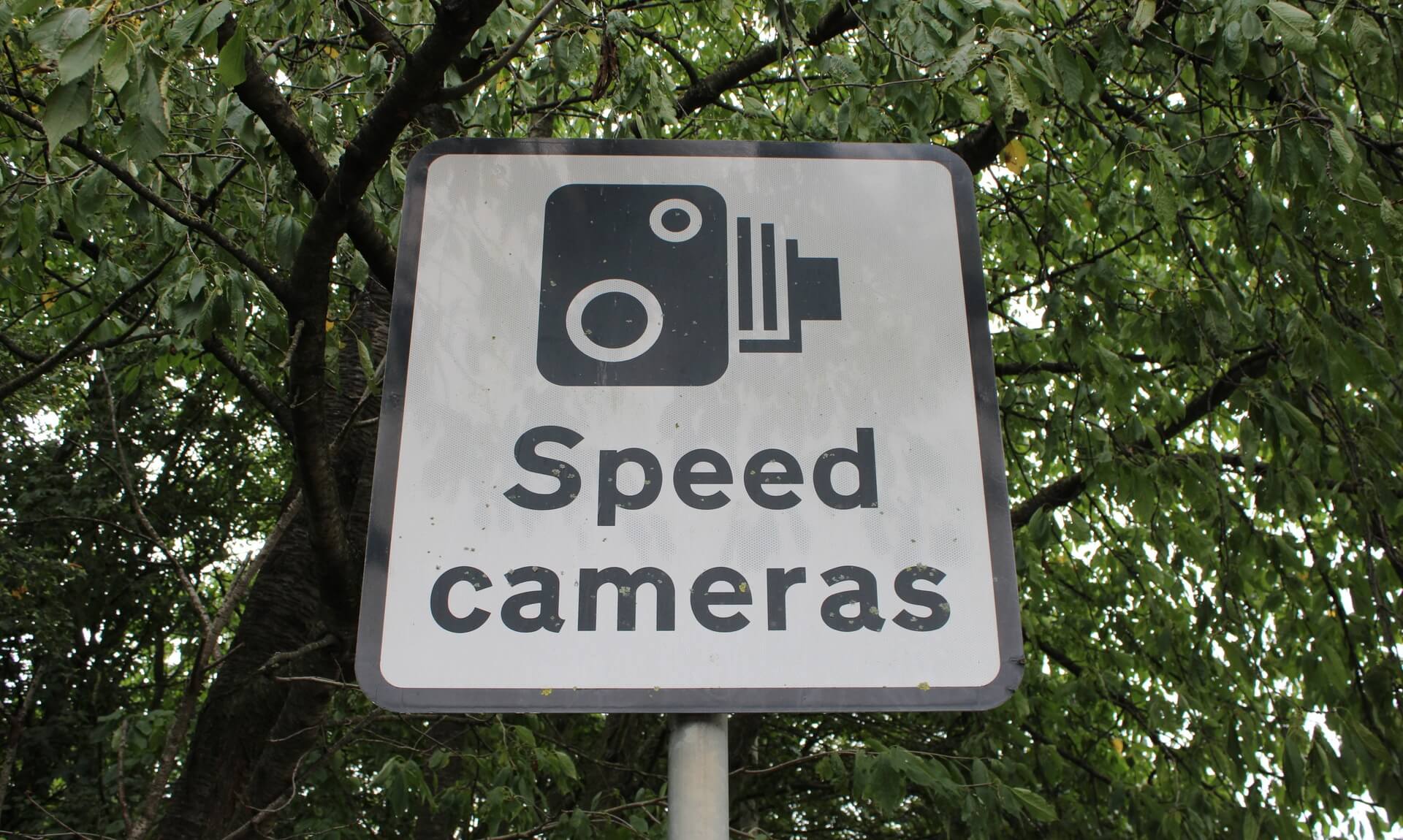 A speed cameras warning sign against a backdrop of trees