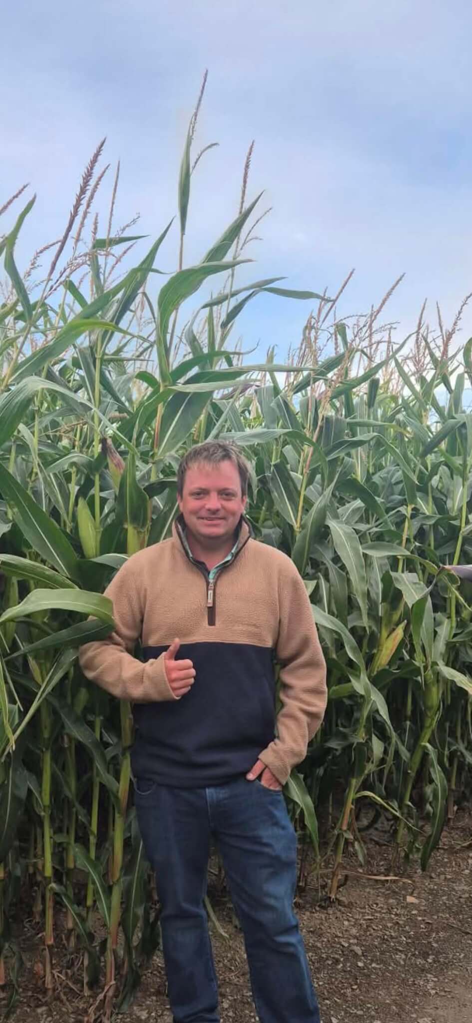 Man giving a thumbs up in front of tall maize at St Merryn Maize Maze and Sunflower Trail