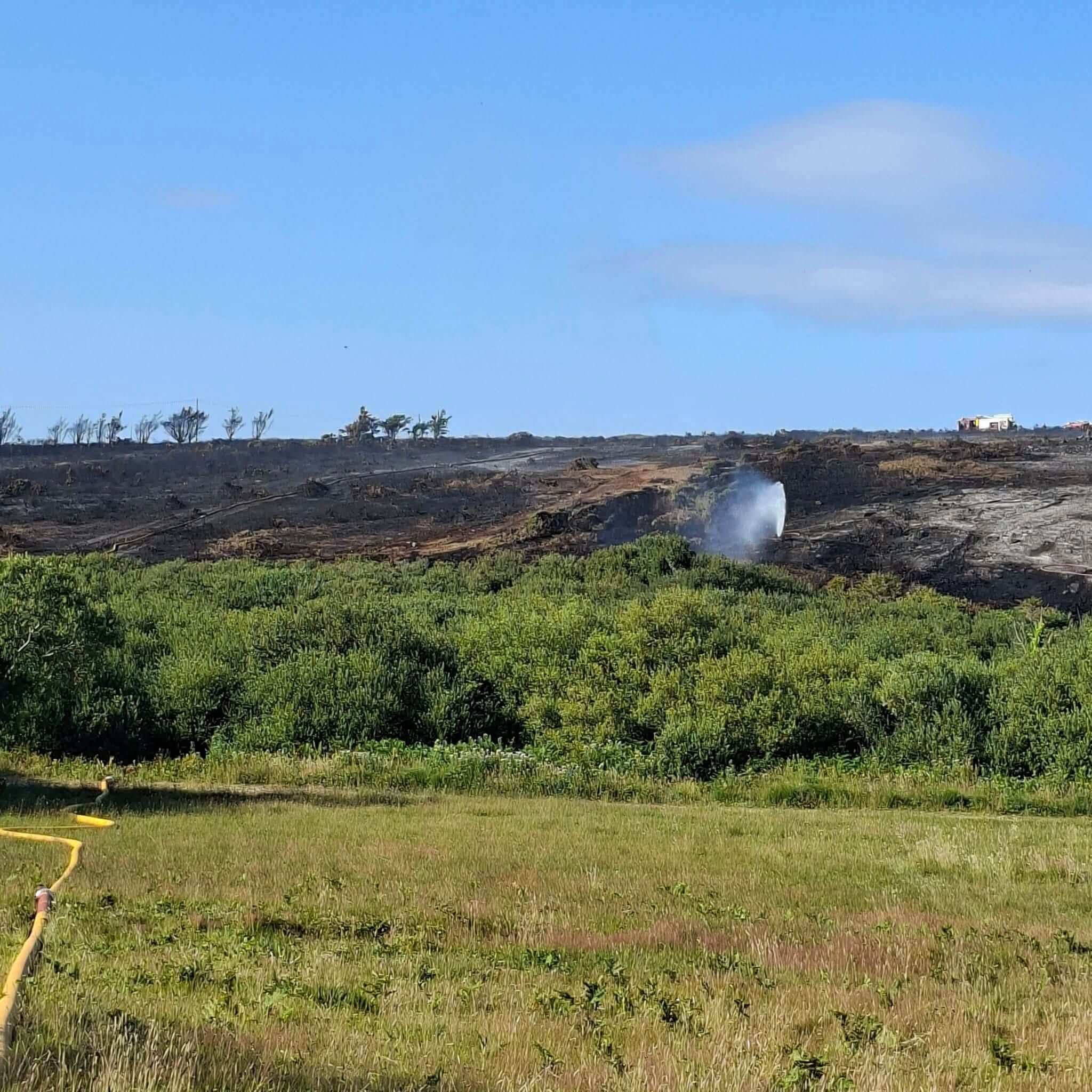 Large gorse fire burning across a Cornish hillside