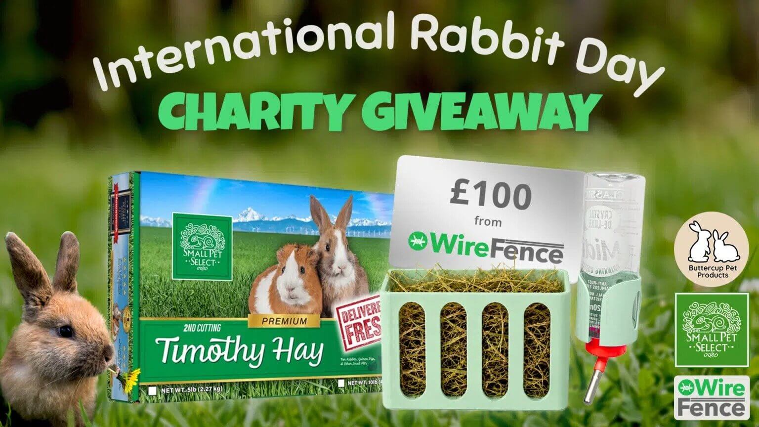 WireFence International Rabbit Day giveaway prize pot of hay, a hay rack, a water bottle and £100