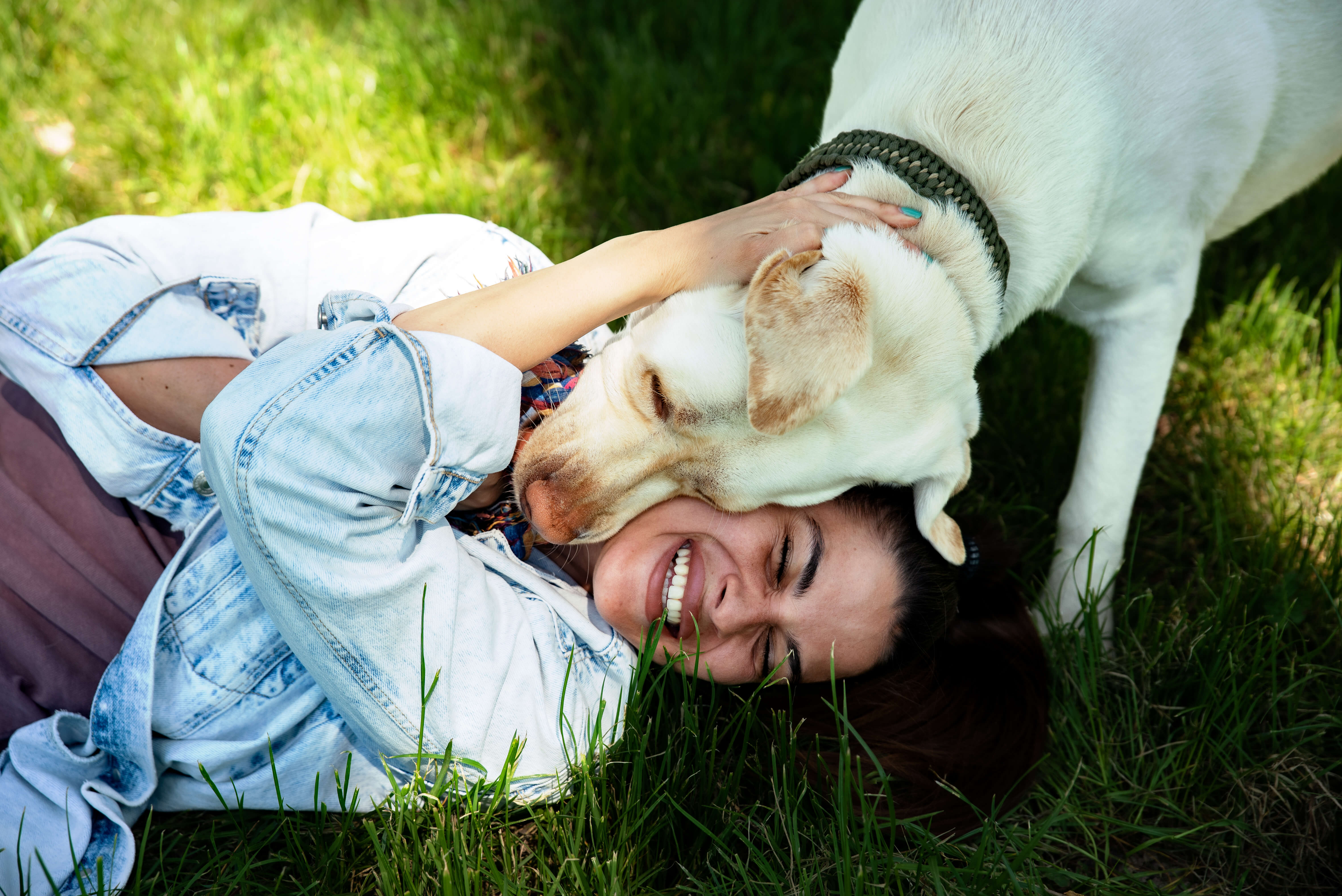 A woman laughing in the grass as her yellow Labrador rescue dog nuzzles her head