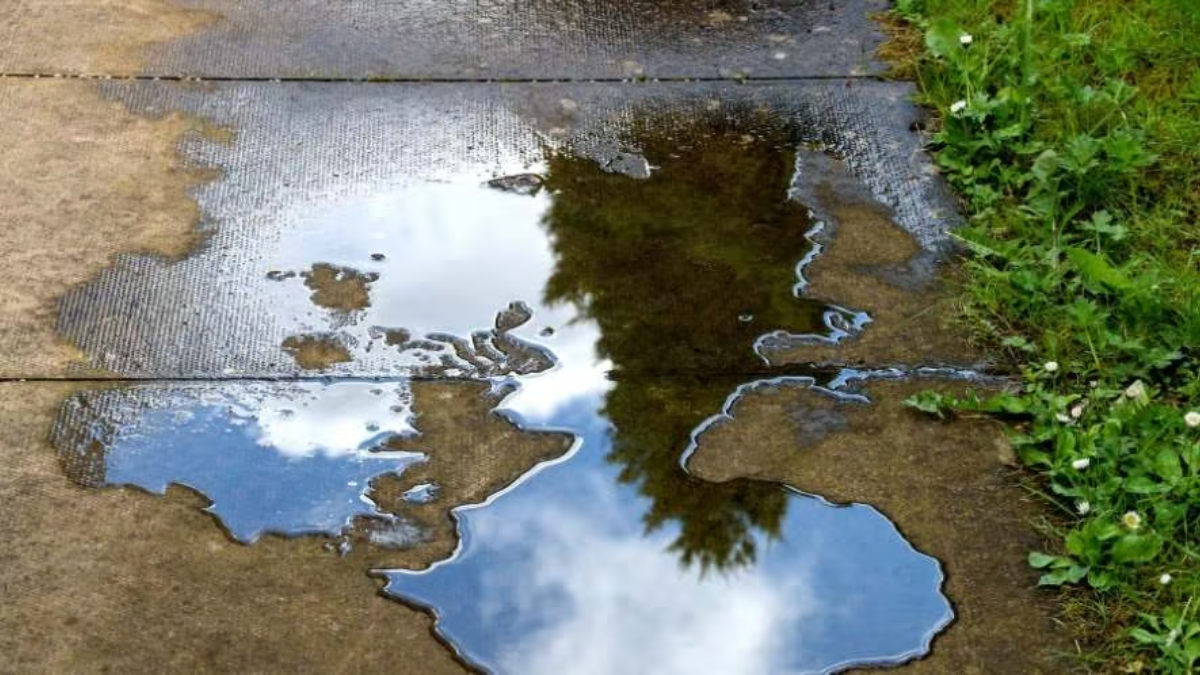 Standing water on a residential patio reflecting sky and trees