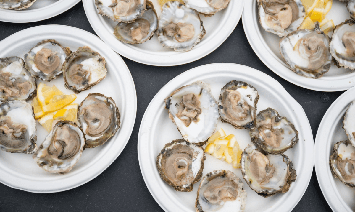 Plates of fresh oysters served with lemon at a Cornish food festival