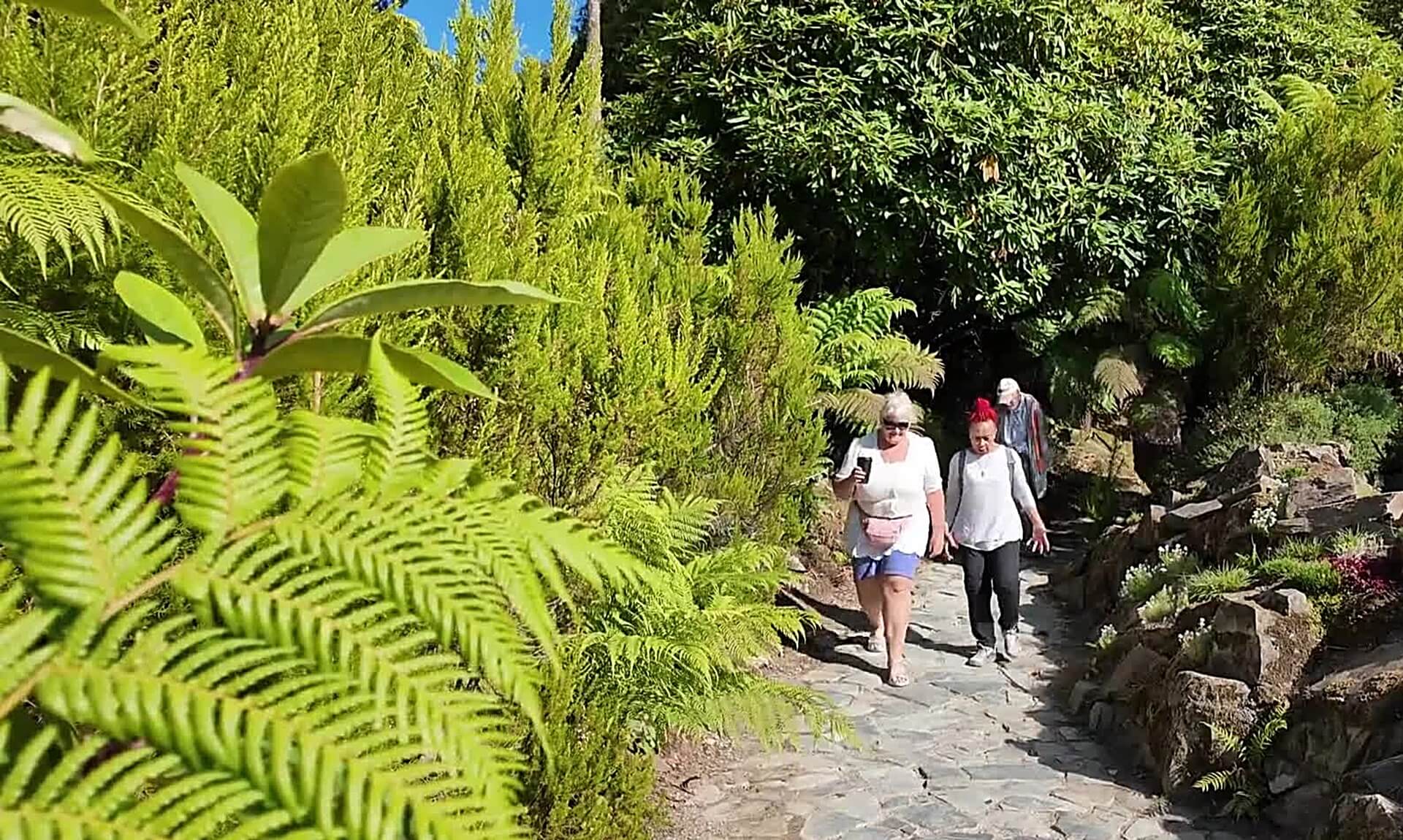 Walkers on the Heligan Wellbeing Walk passing through the Jungle path