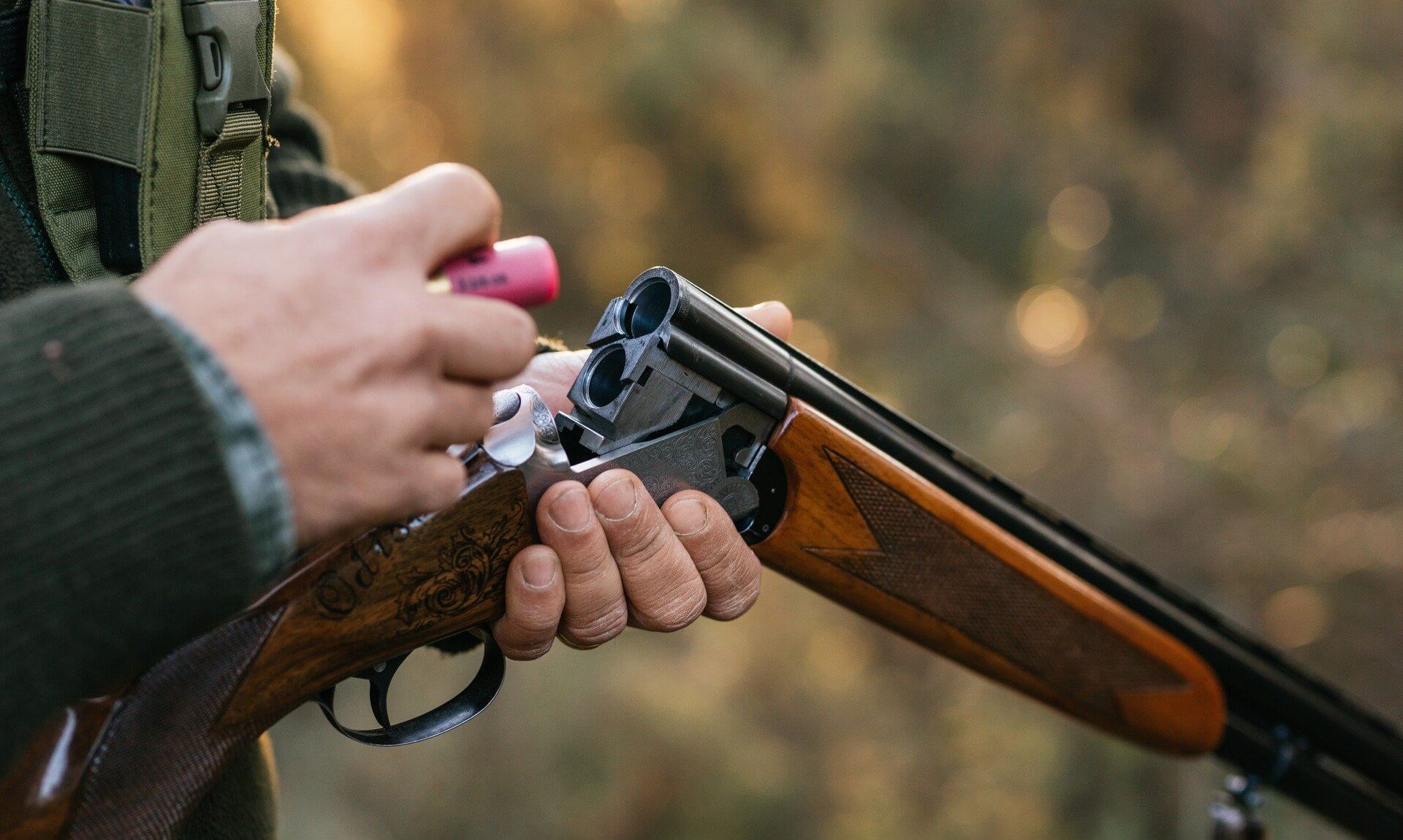 Person loading a cartridge into a shotgun