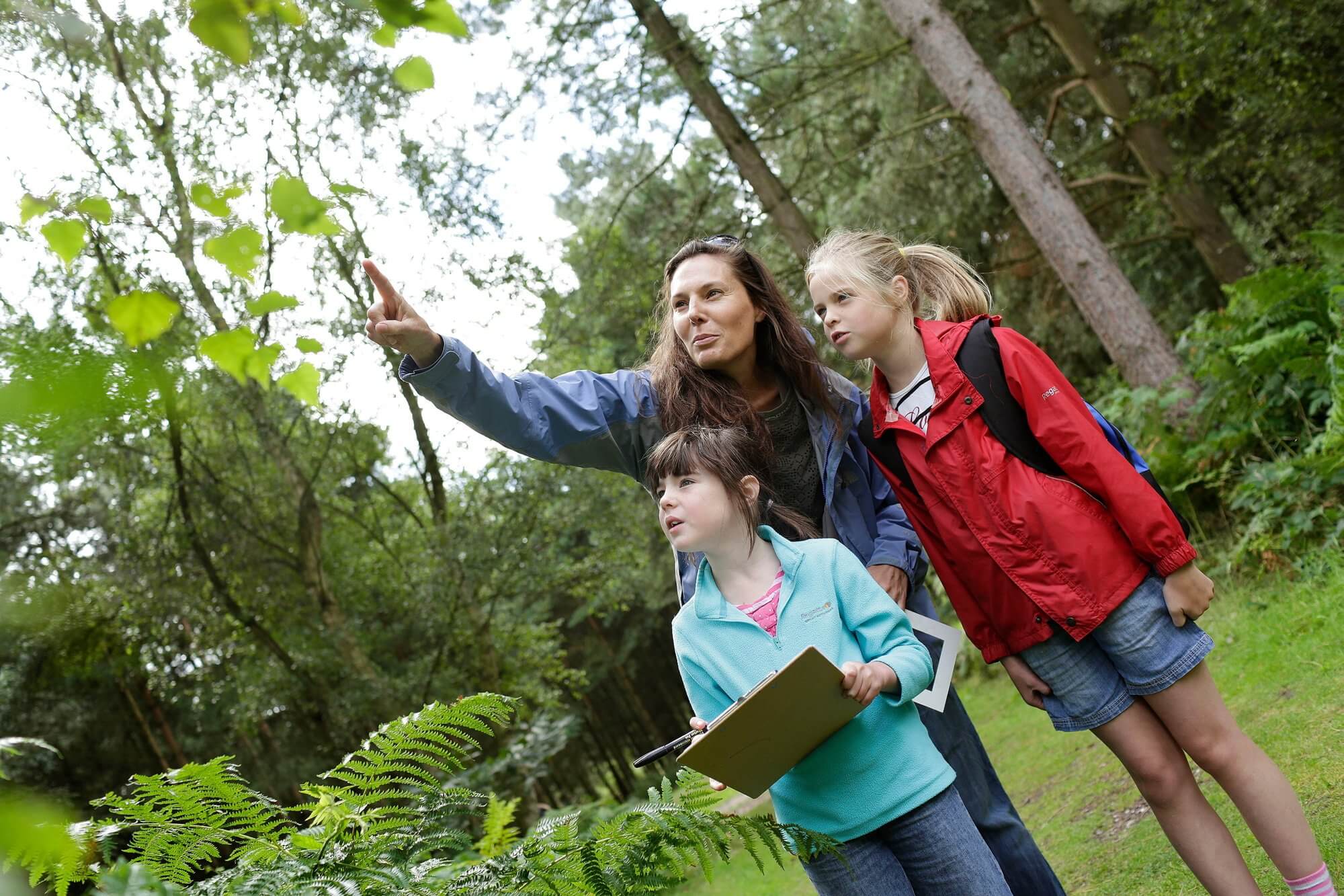 A family spotting wildlife in the forest with a clipboard