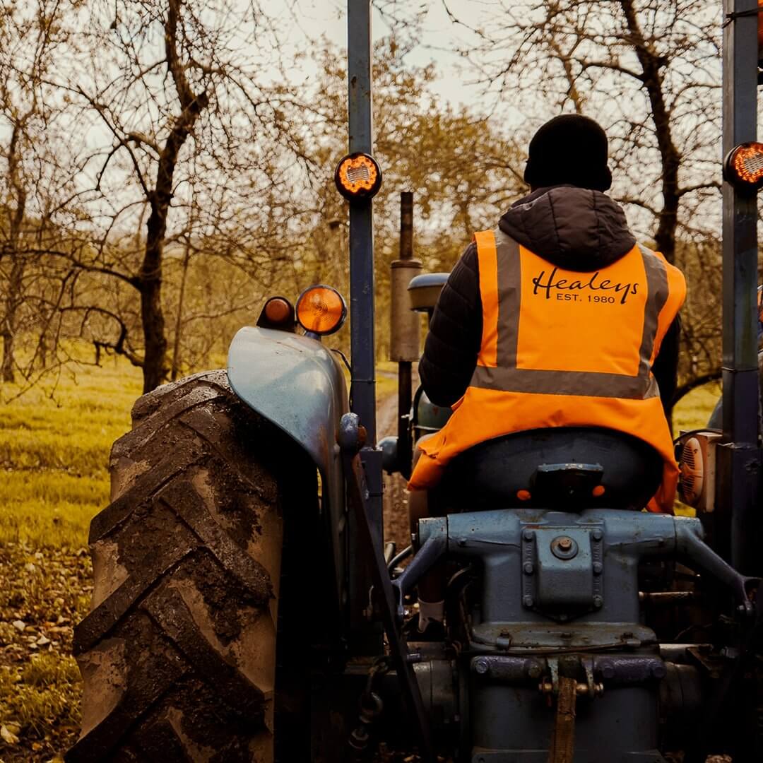Healey's team member driving a vintage tractor through the orchard
