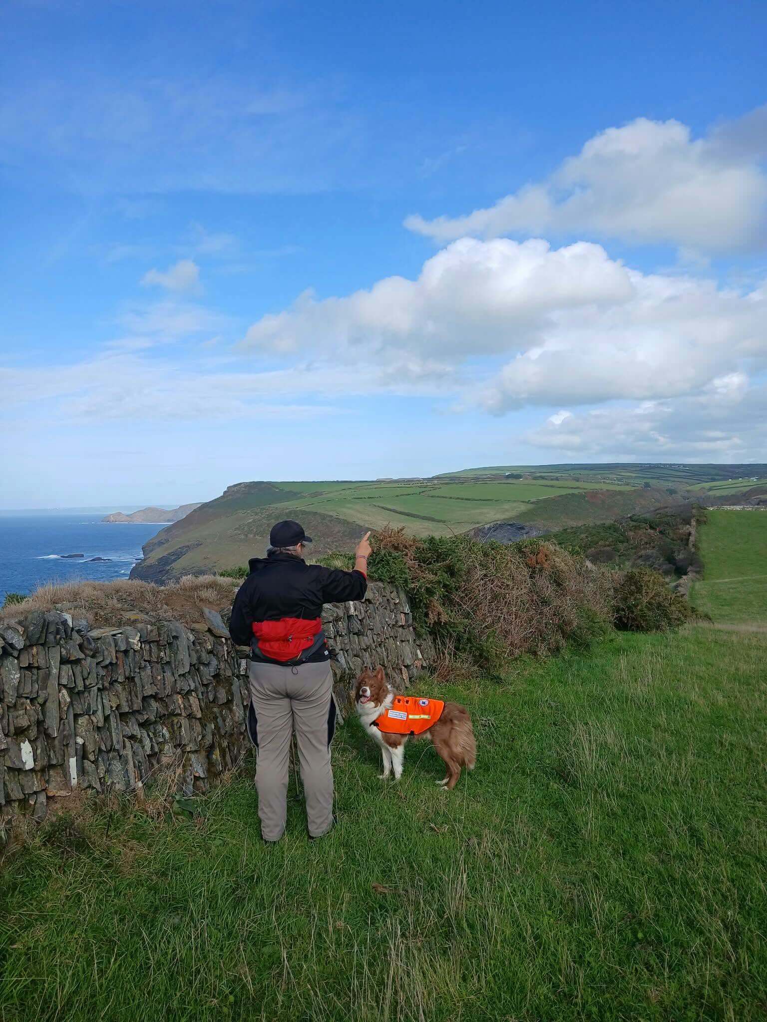 A handler and a search dog in an orange jacket beside a stone wall on the North Cornwall coast