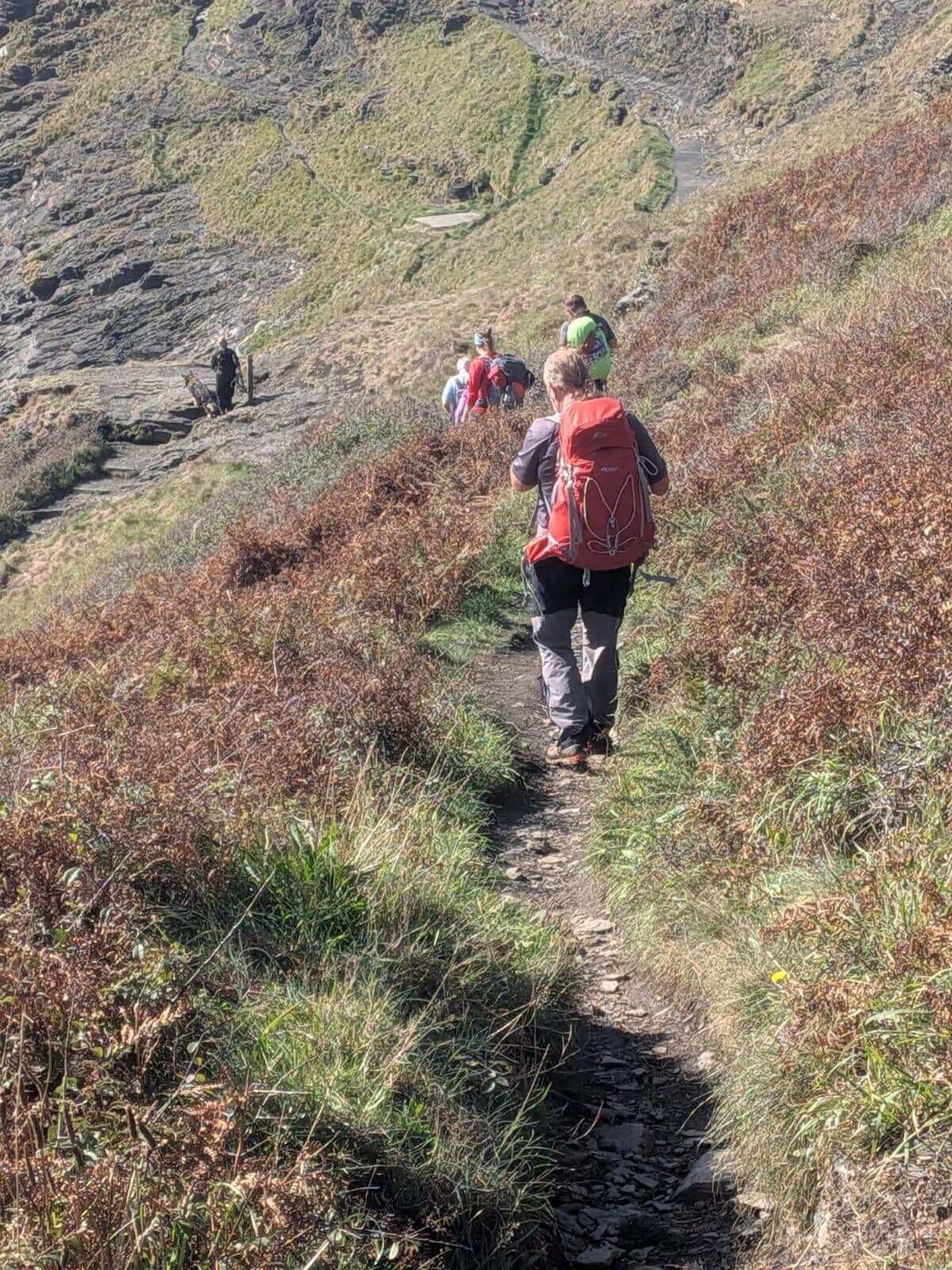 Search team members and a dog handler on a narrow path across a bracken-covered slope