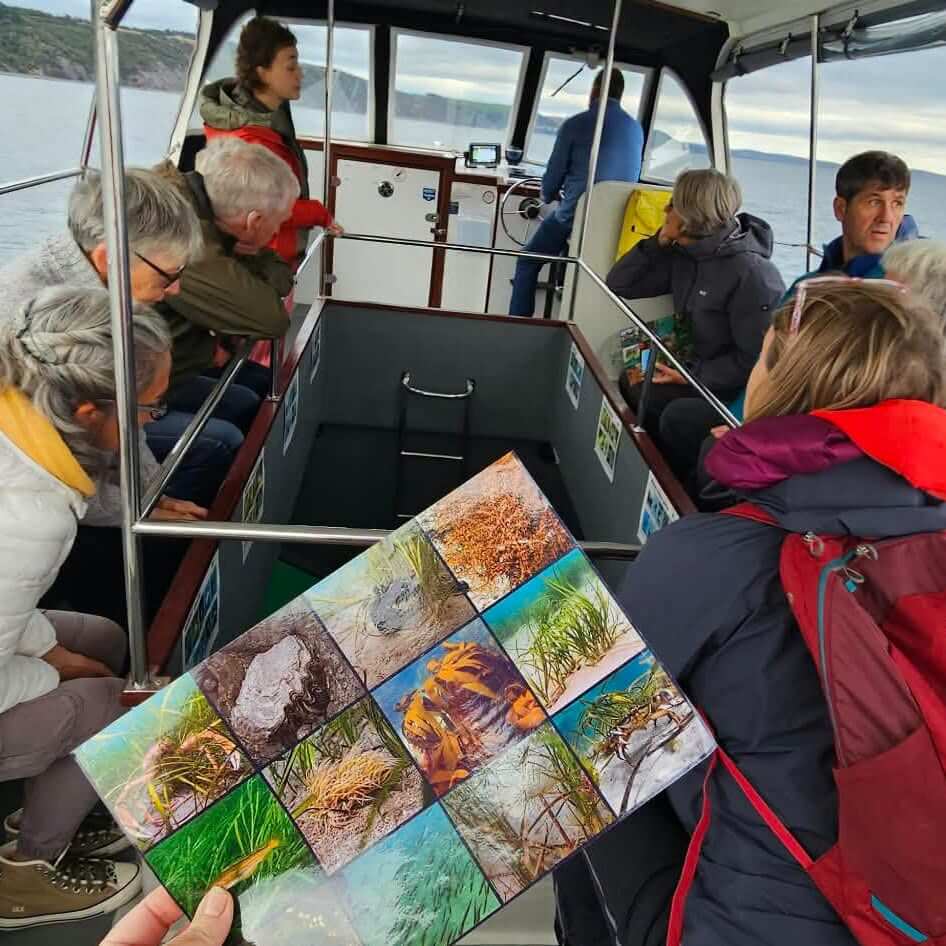 Looe Marine Conservation Group members on a glass-bottomed boat in Looe Bay with a seagrass identification sheet