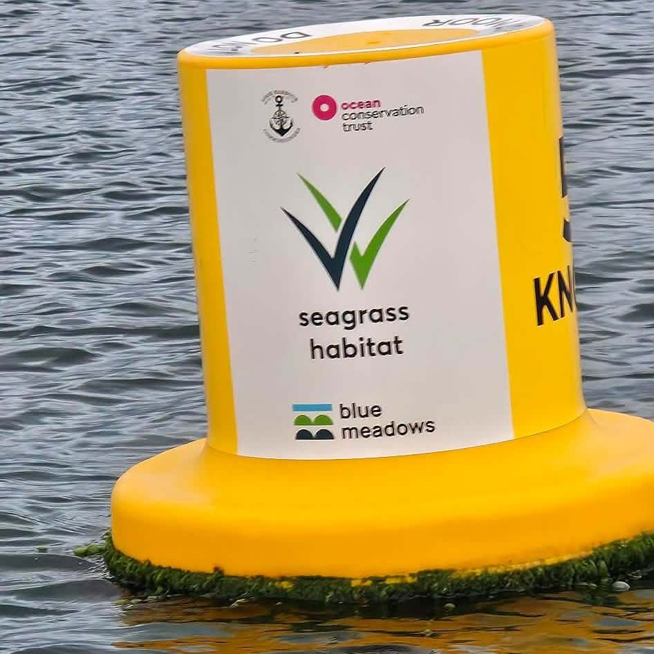 Yellow buoy in Looe Bay labelled seagrass habitat