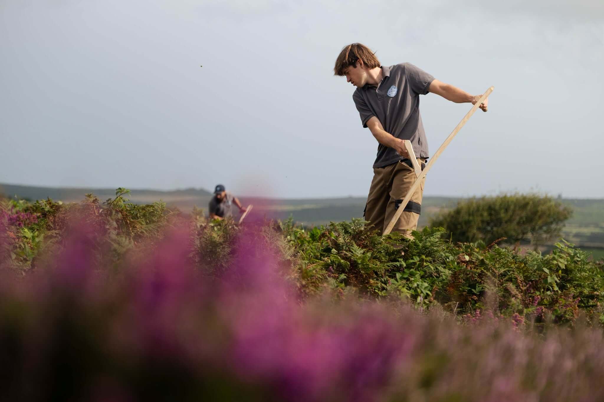 Cornwall Heritage Trust Rangers working among bracken and heather at Caer Bran
