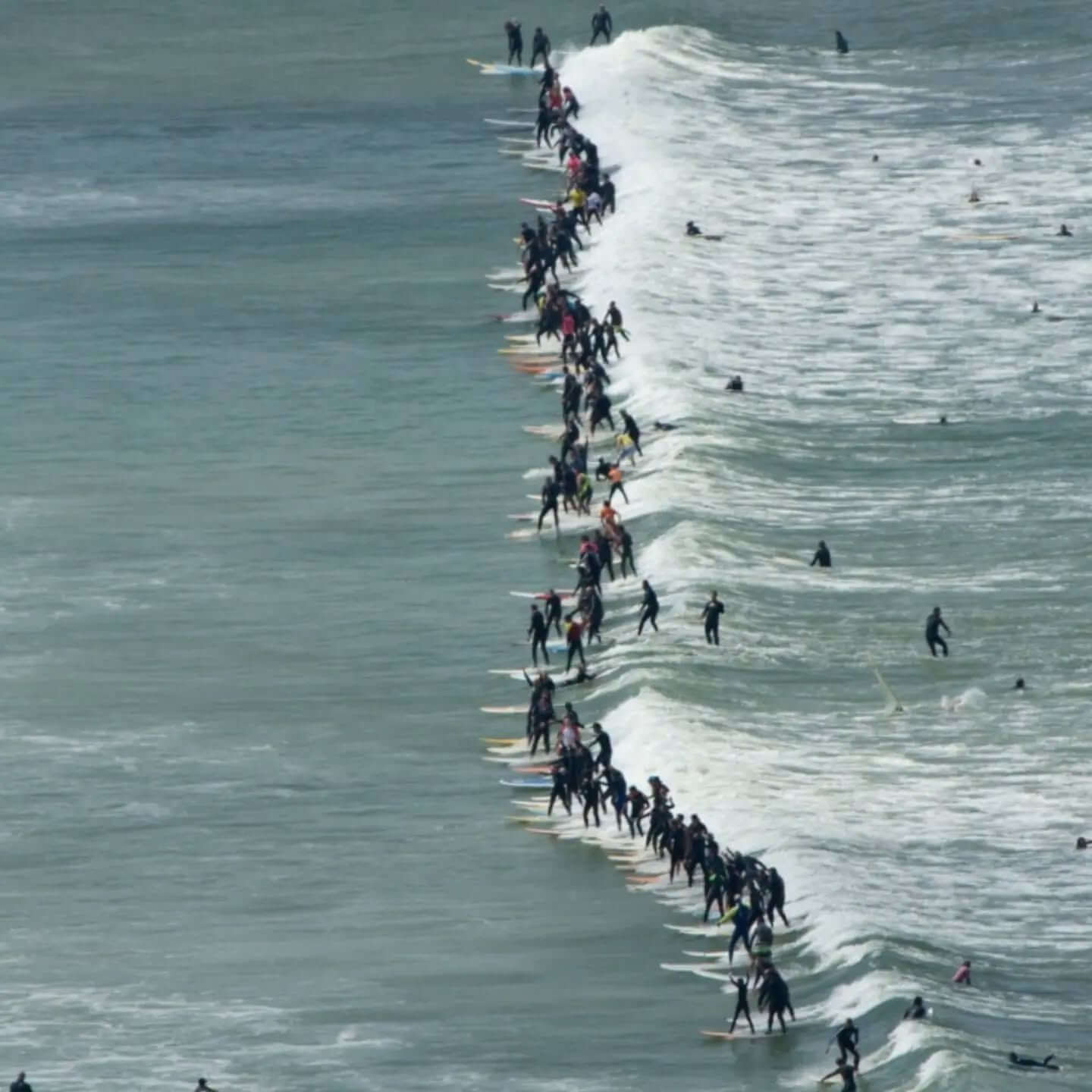 A long line of surfers riding the same wave