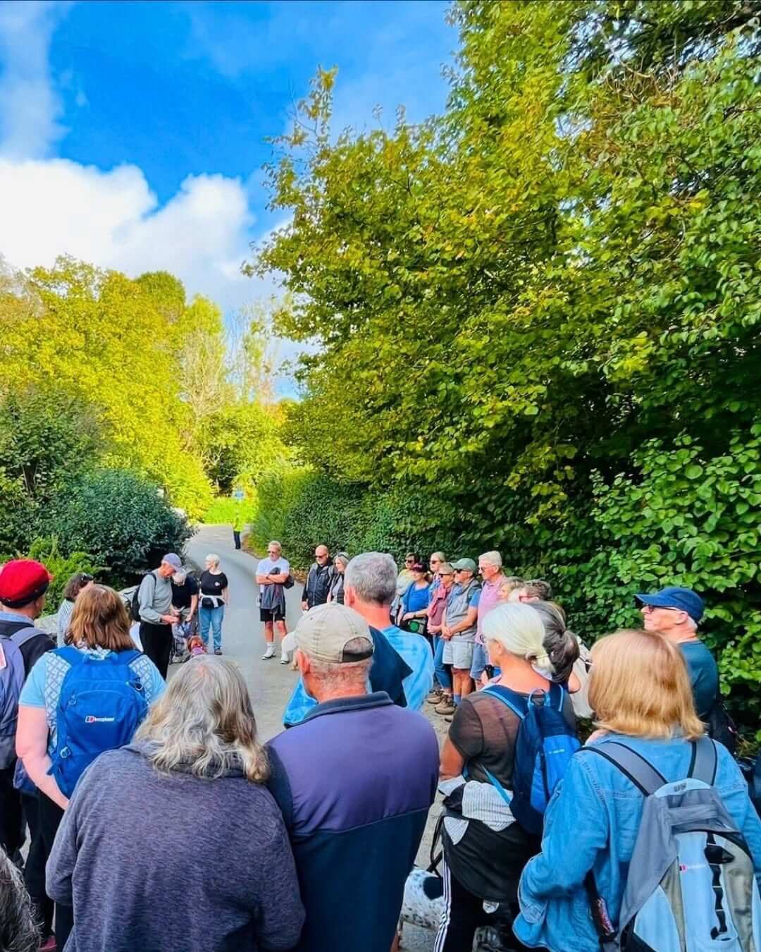 Walkers gathered in a tree-lined lane