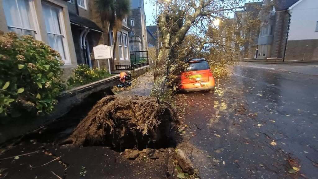 Uprooted tree lying across a pavement beside a parked orange car on a wet street after Storm Austen