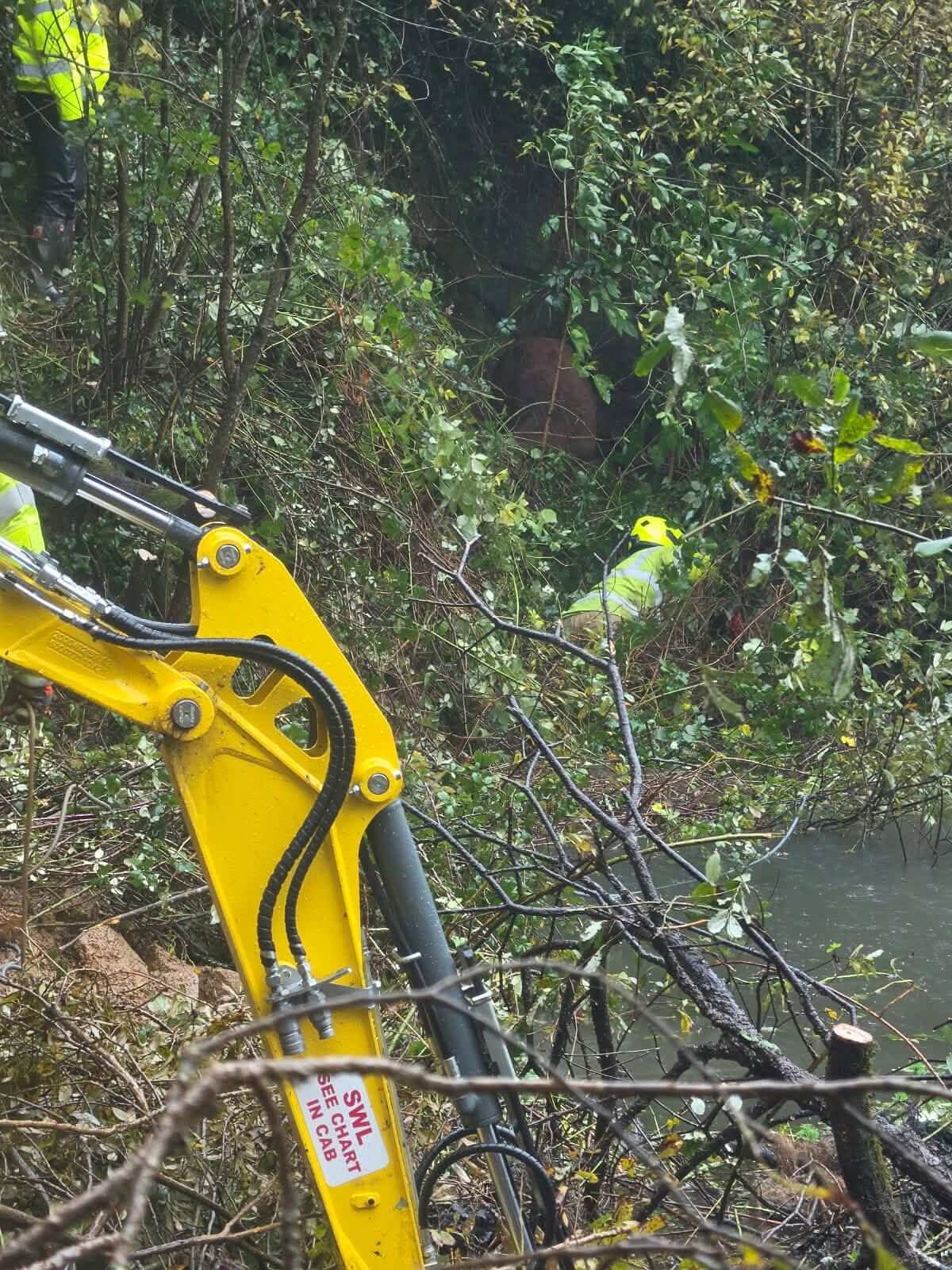 A digger arm and firefighter working through dense undergrowth