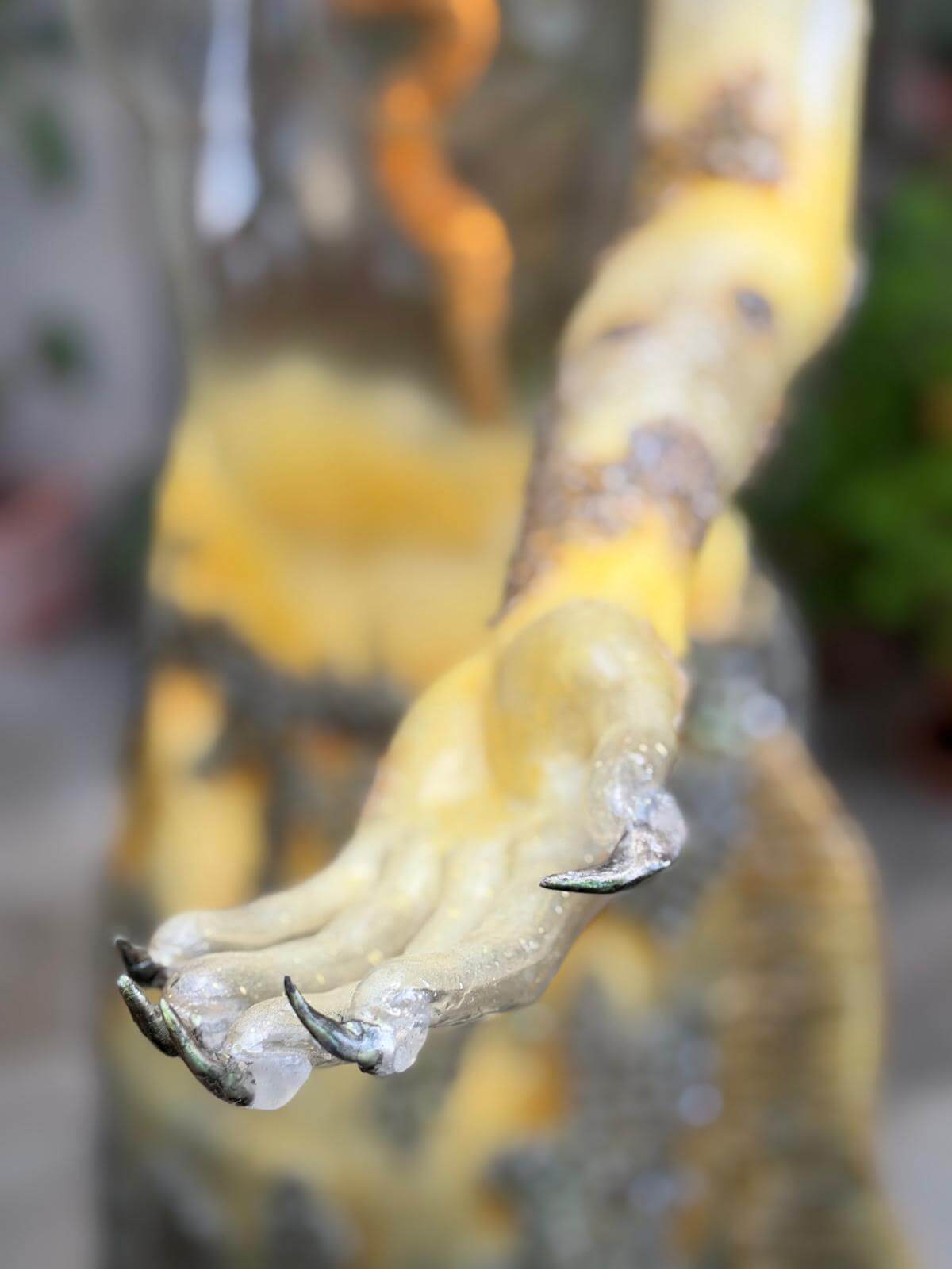 A close up of the offered hand of Morvoren the Mermaid