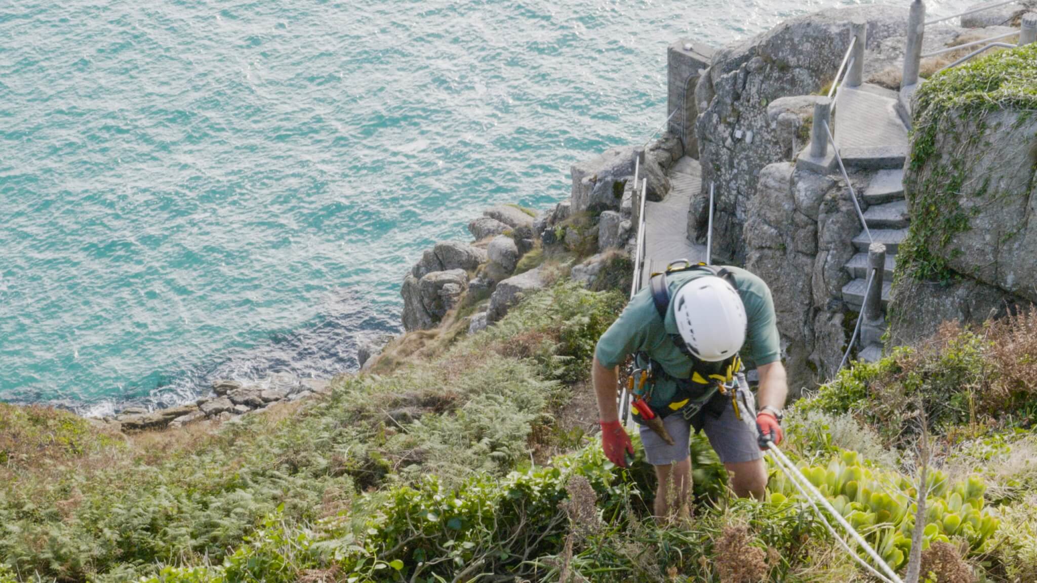 Gardener abseiling down the cliff to reach planting at the Minack Theatre
