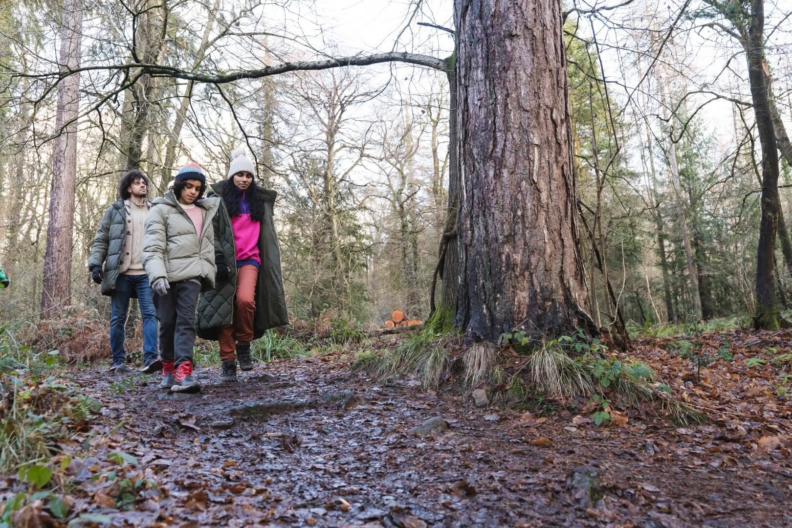 A family on an autumn walk in the forest
