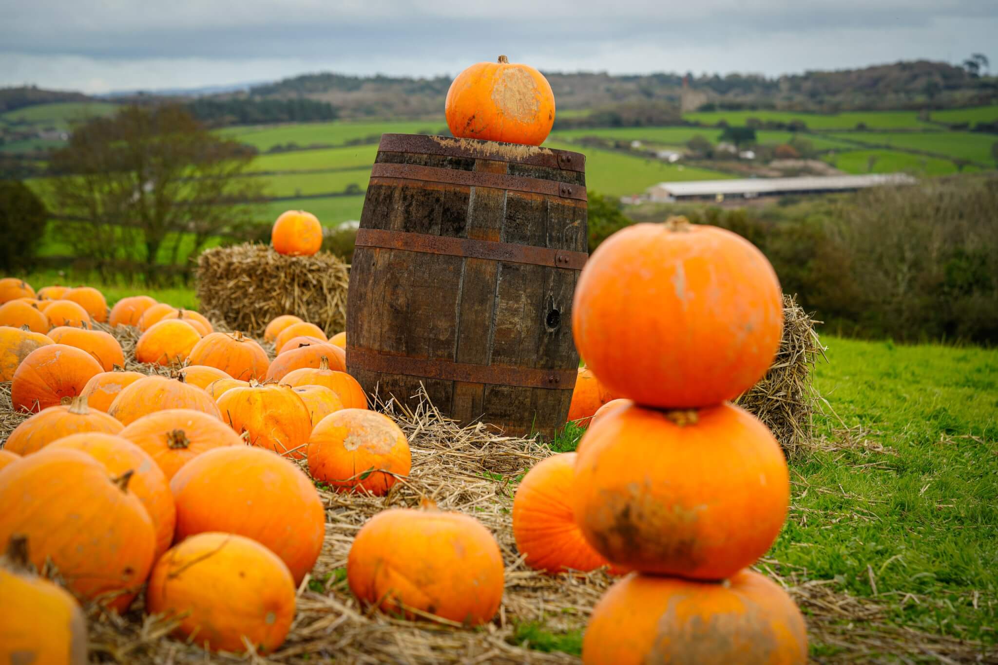 Pumpkins stacked on a barrel at Healey's Cyder Farm, Penhallow