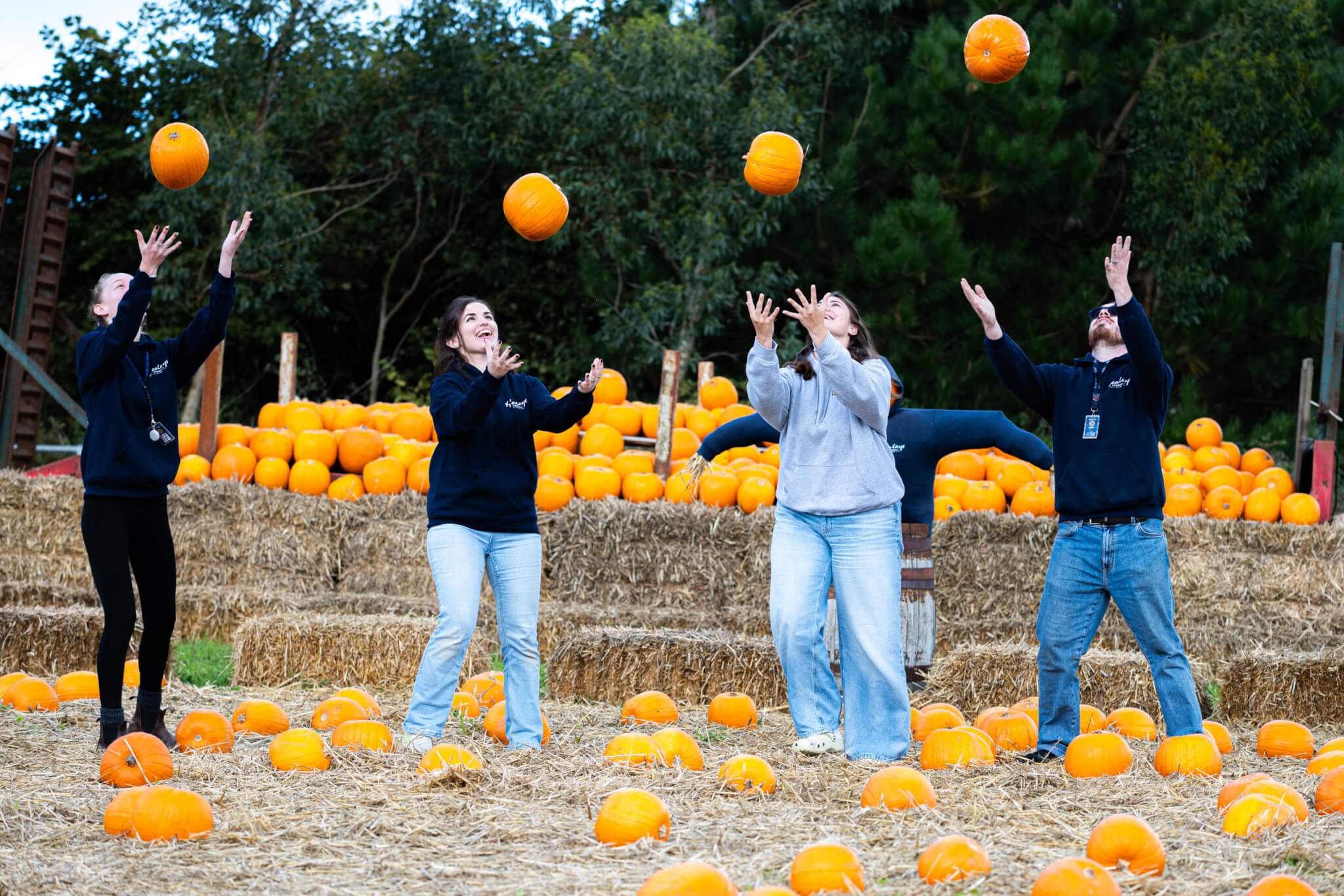 Healey's team throwing pumpkins in the air at the pumpkin patch