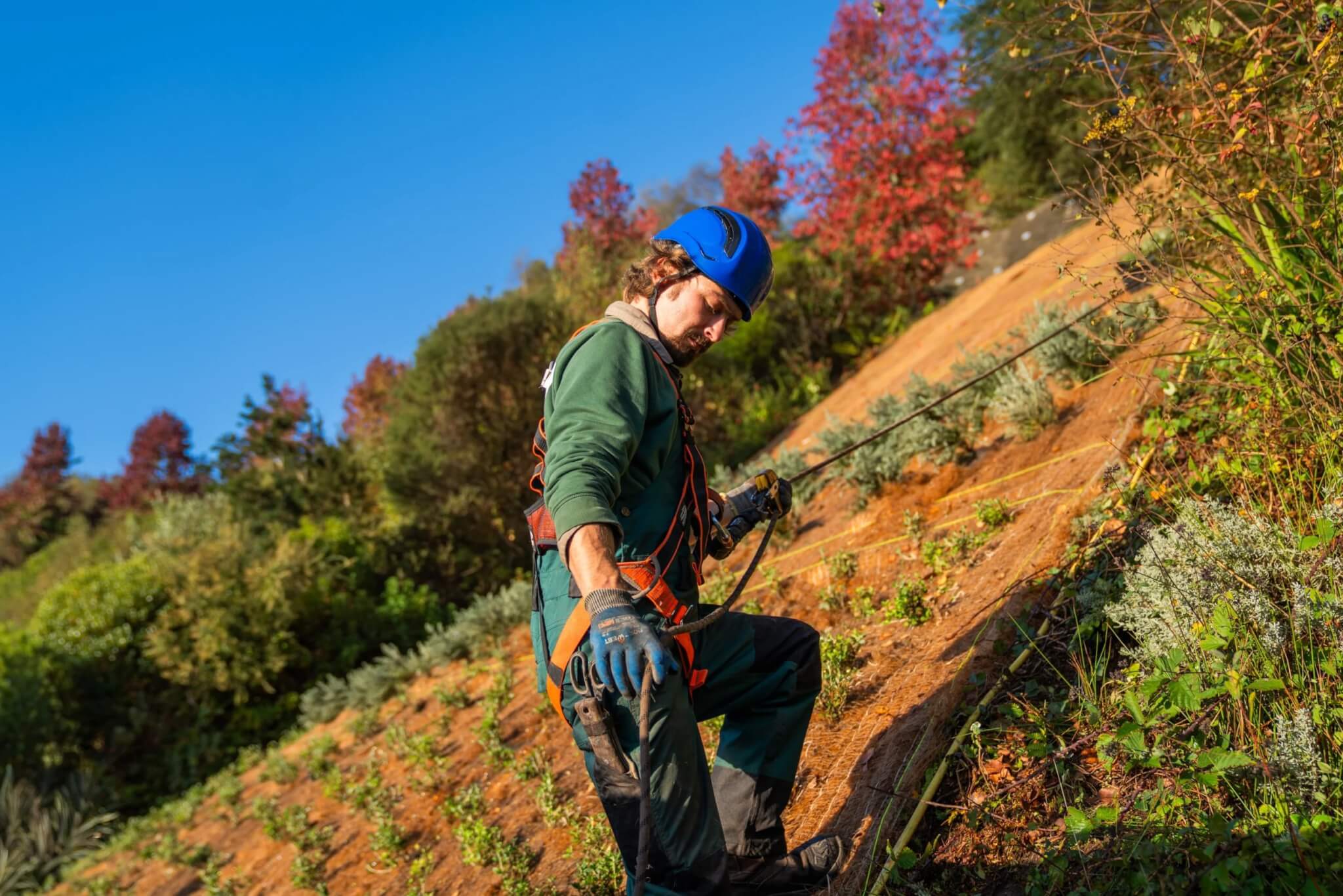 Eden Project gardener in a harness on the steep Silver Staircase bank