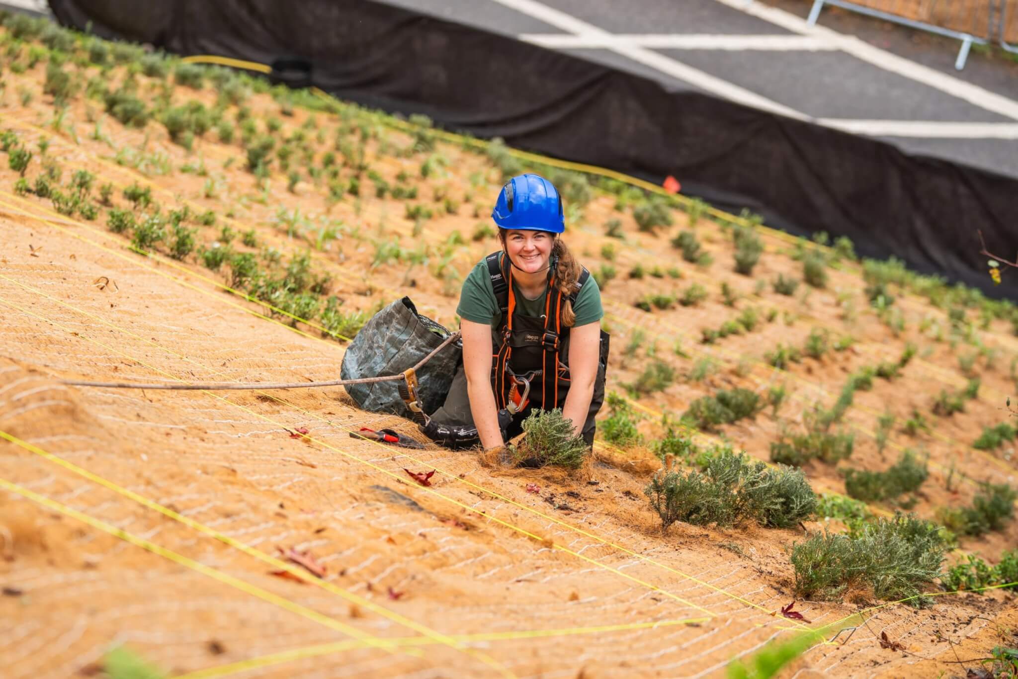 Smiling Eden Project gardener planting on the rope access slope