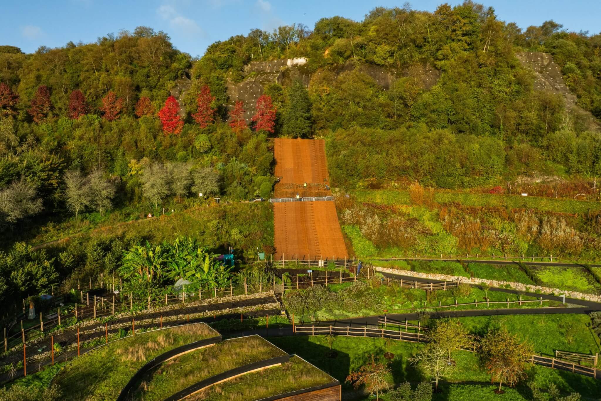 The Silver Staircase planting on a steep bank at the Eden Project