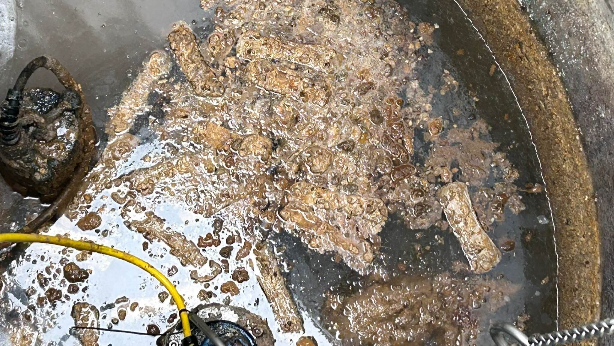 Fats, oils and grease clogging a wastewater tank