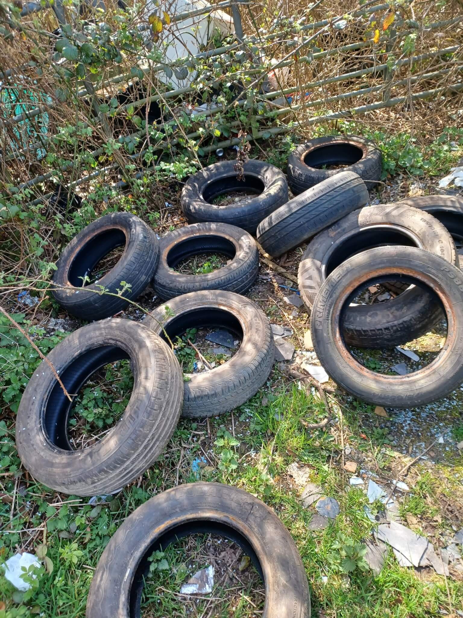 Dumped tyres and broken tiles in undergrowth