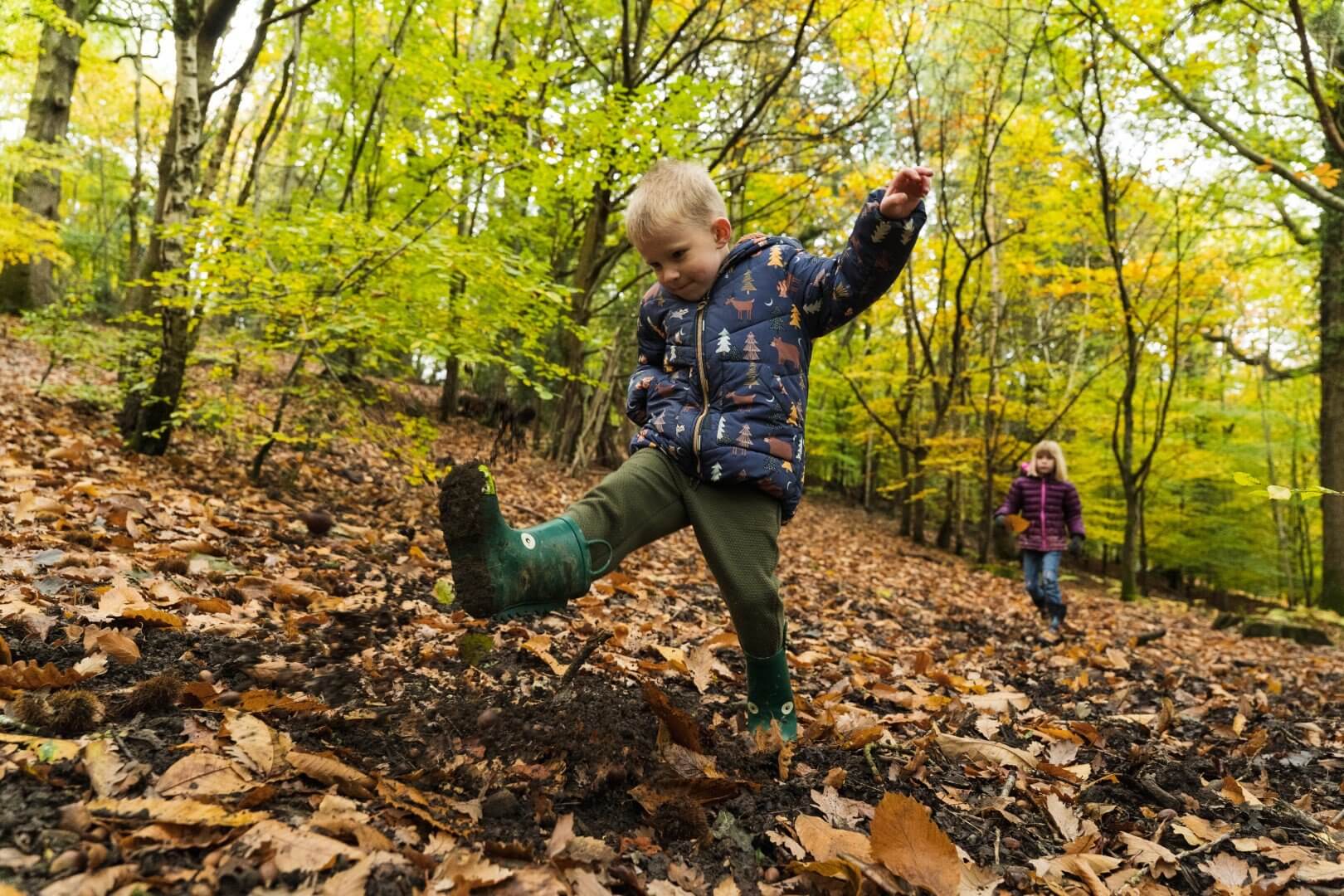 A child kicking up autumn leaves in the forest