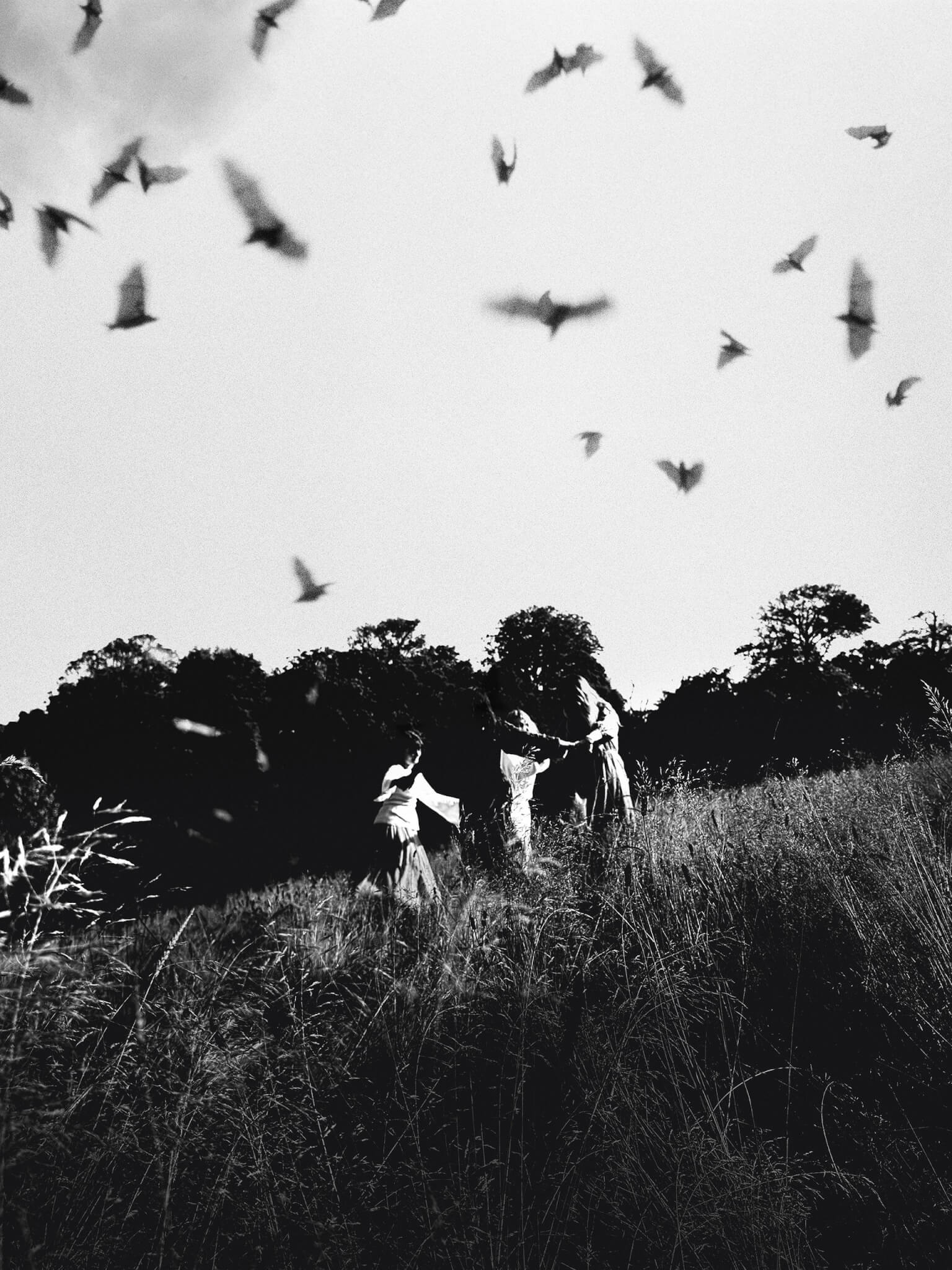 Figures in long dresses in a field as birds wheel overhead