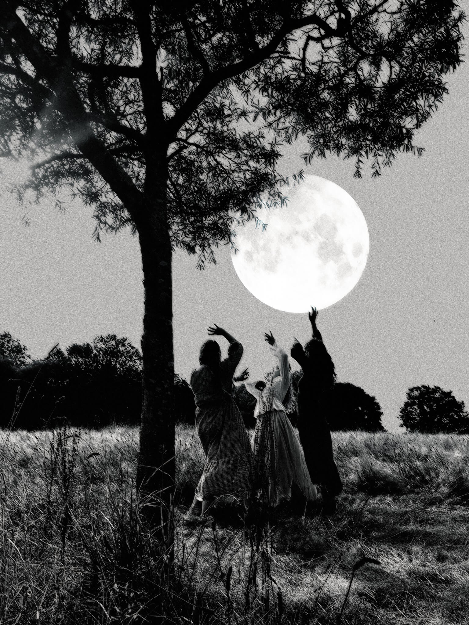 Three figures reaching up towards a full moon beneath a tree in a field